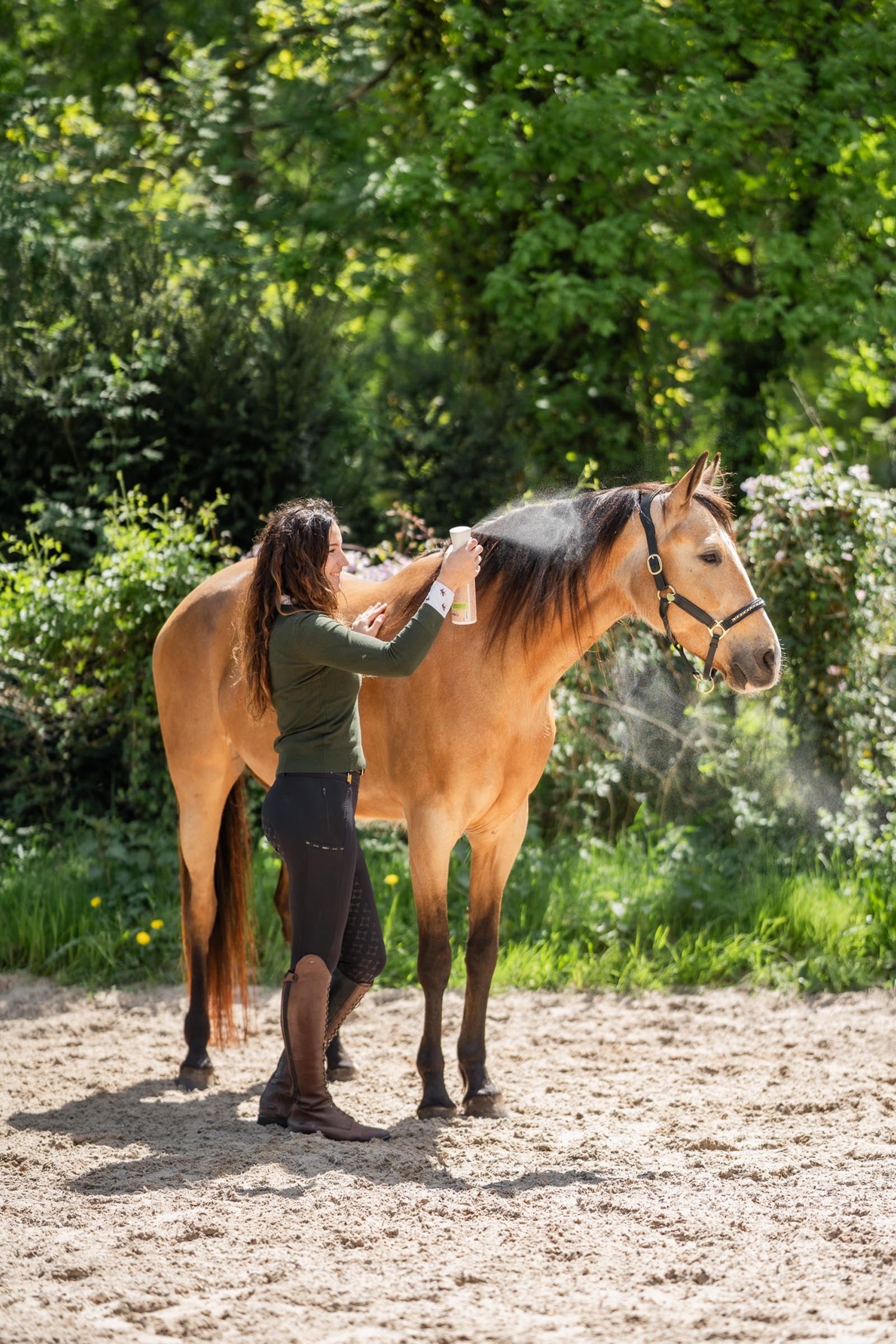 Bense & Eicke Natural Finish, 500ml Horse Health Care