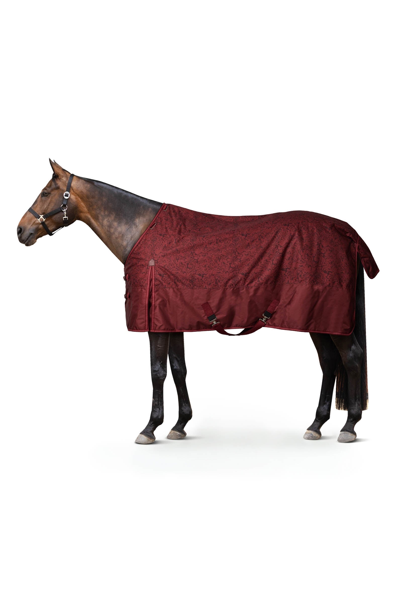 Horze Glasgow Turnout Rug, 200g Horse Rugs
