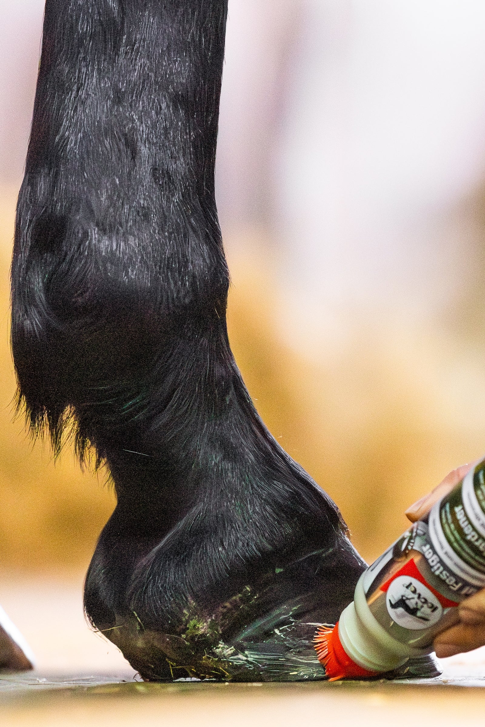 Leovet Hoof Hardener 200ml Horse Health Care