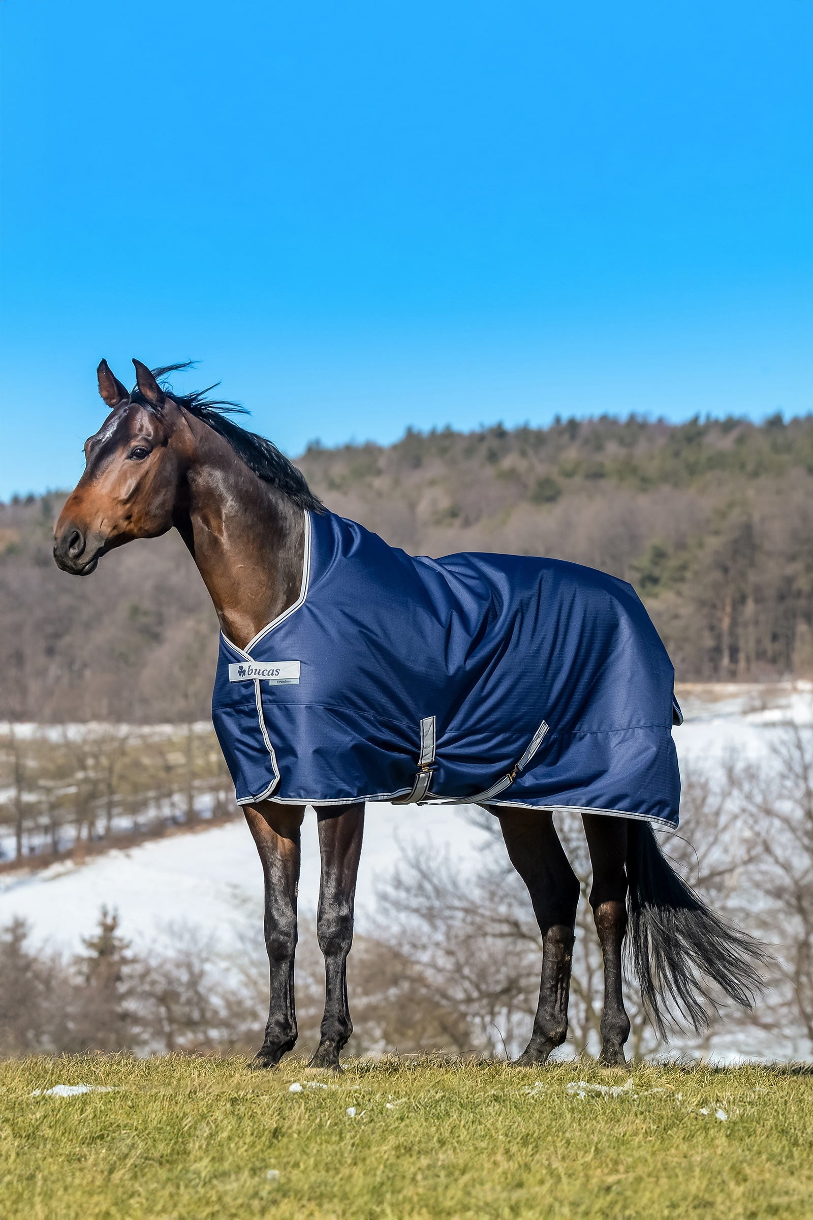 Bucas Freedom Couverture avec haute encolure, 150g Couvertures cheval