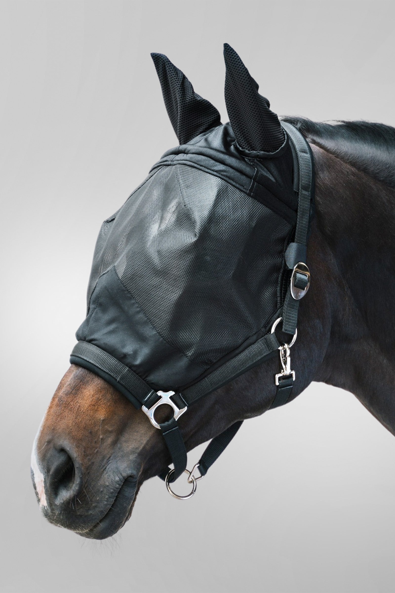 Waldhausen Masque anti-mouches Premium avec licol Anti-mouches cheval