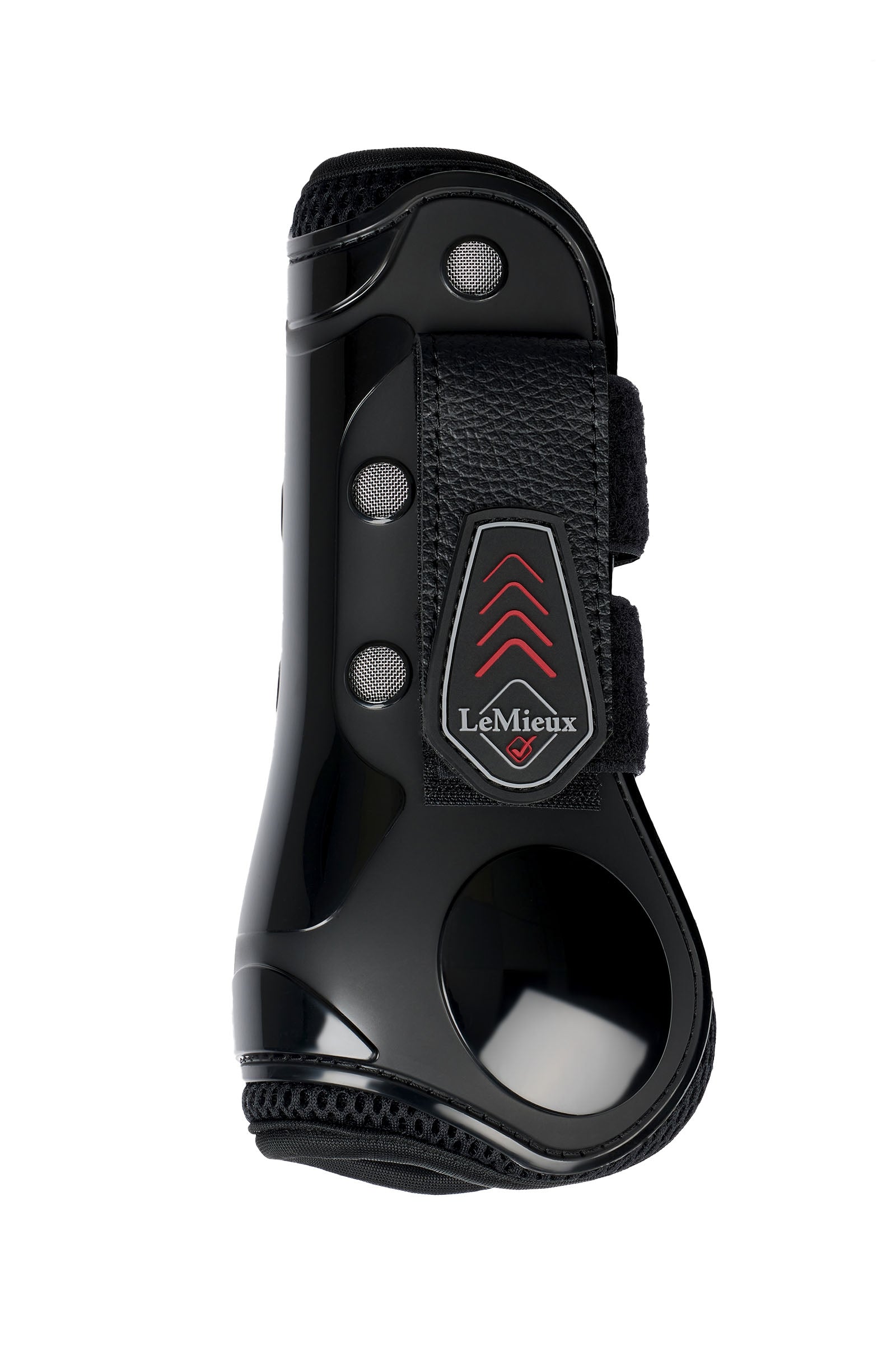 LeMieux Derby ProJump protège-tendon Leg Protection & Hoof Protection for Horses