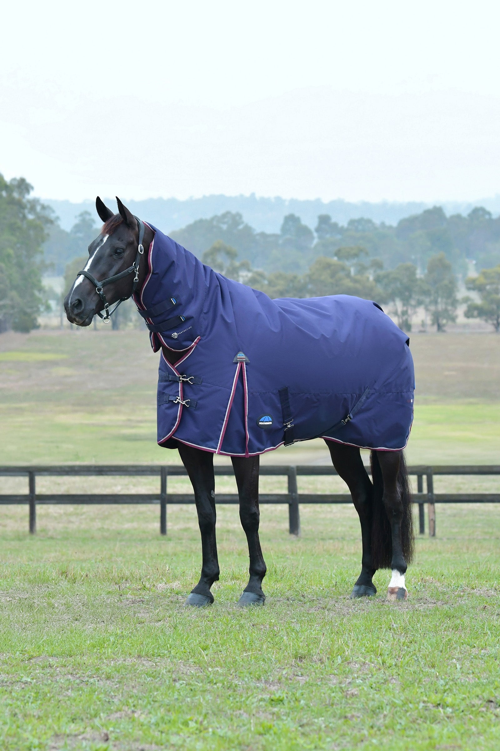 Weatherbeeta Comfitec Essential couverture d'extérieur avec encolure fixe, 220g Couvertures cheval