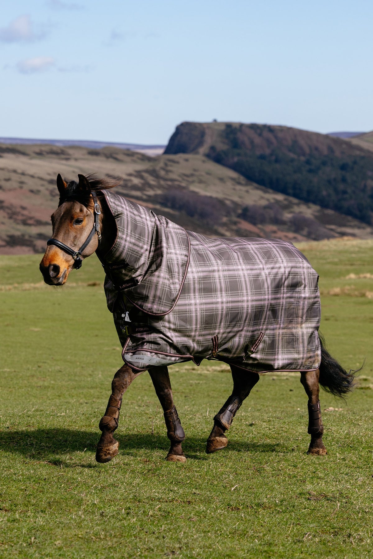 LeMieux Arika Heritage Check Turnout Rug, 100 g Horse Rugs