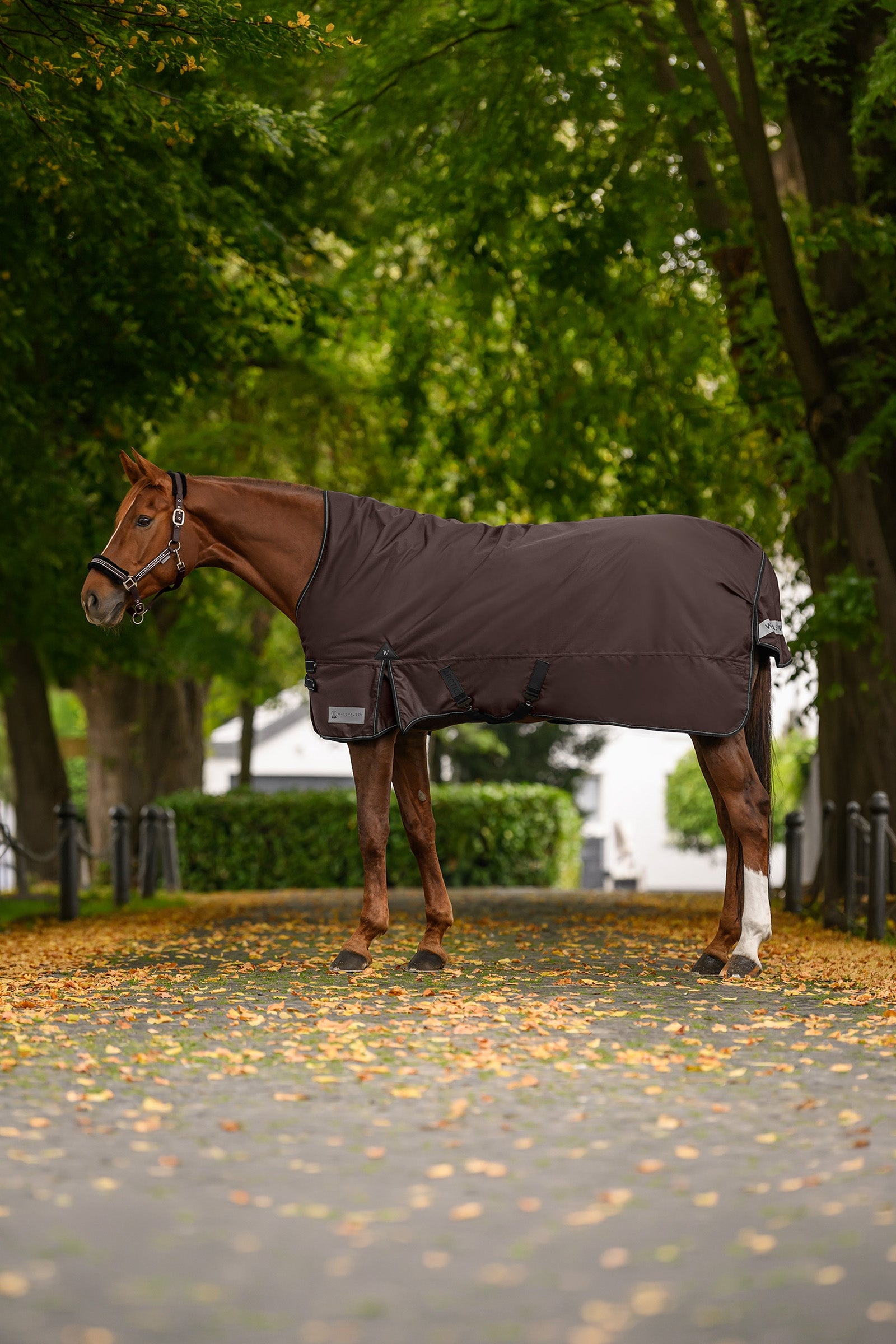 Waldhausen Arctic Turnout Rug With High Neck, 0g Horse Rugs