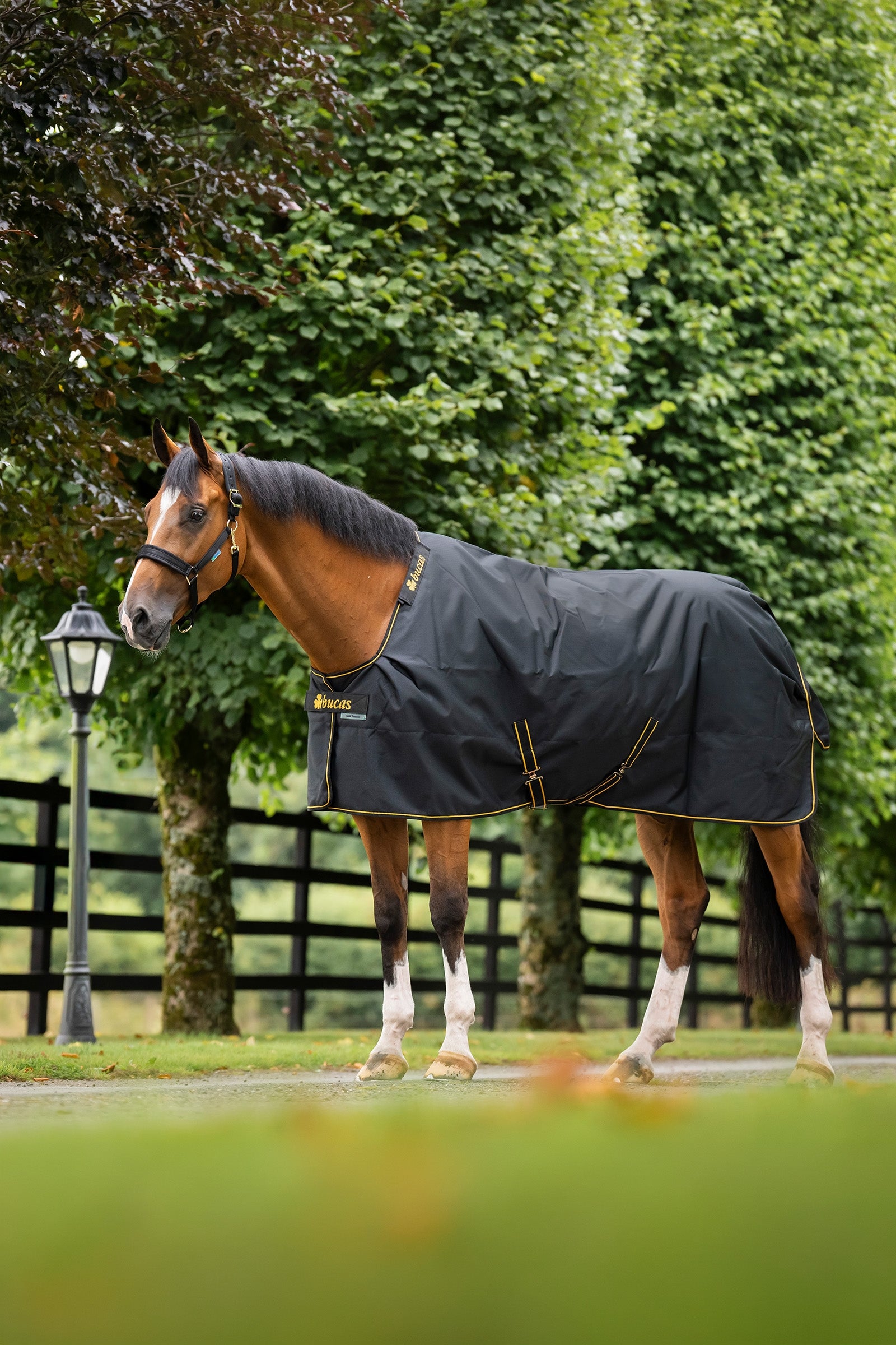 Bucas Irish Turnout Big Neck, 50g Horse Rugs