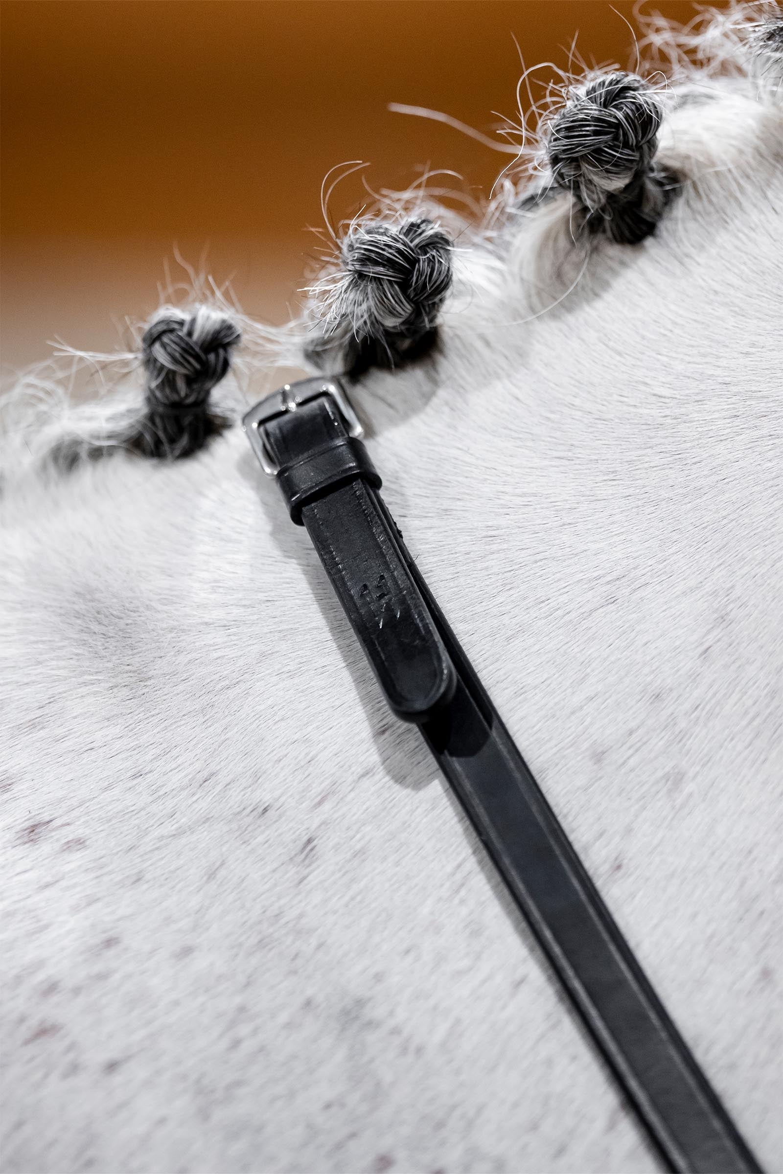 Horseware rênes de bride Briderie et enrênements