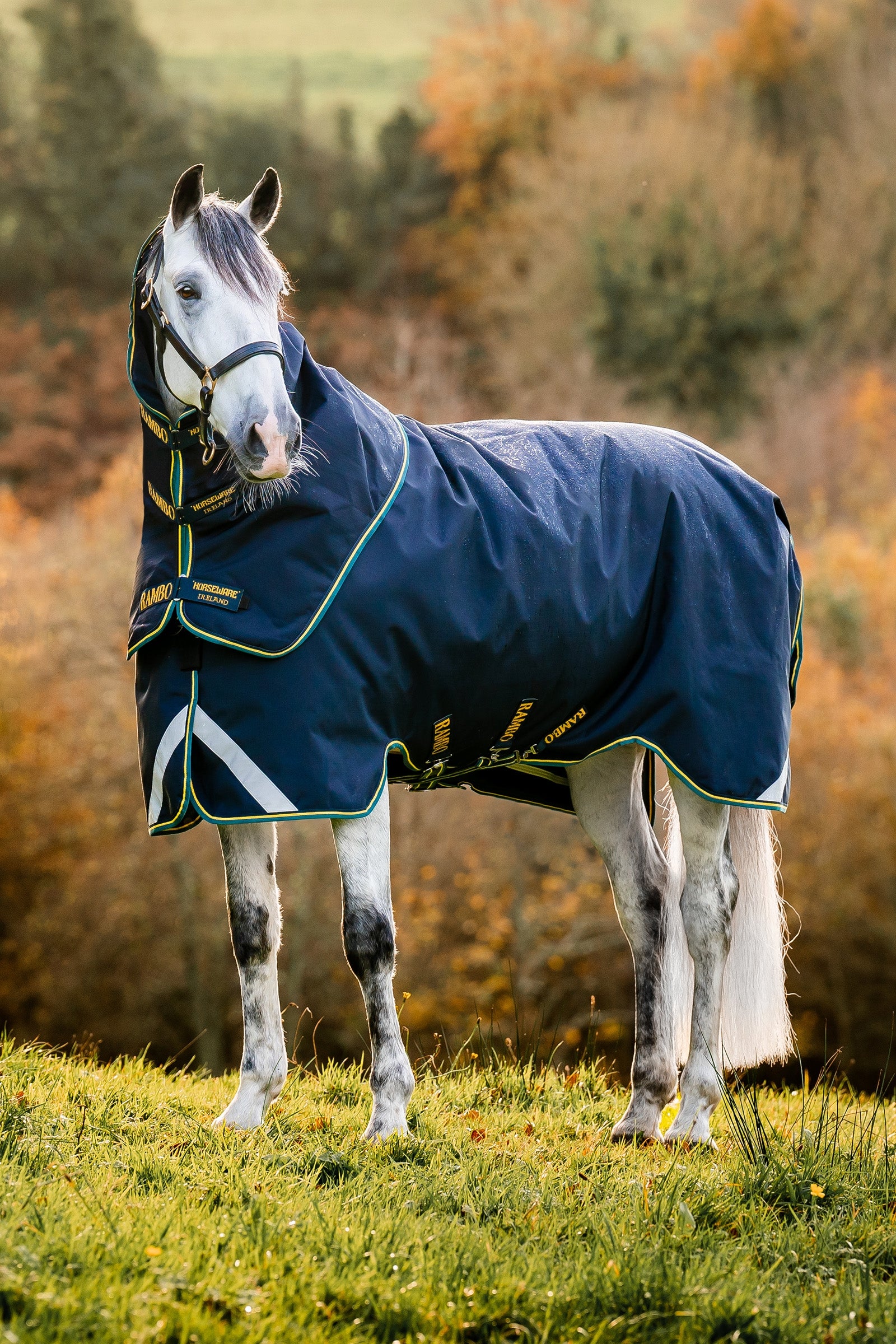 Horseware Rambo Duo Force 2.0, couverture de cheval 100 g (100g extérieur avec 100g doublure et 300g doublure) Couvertures cheval