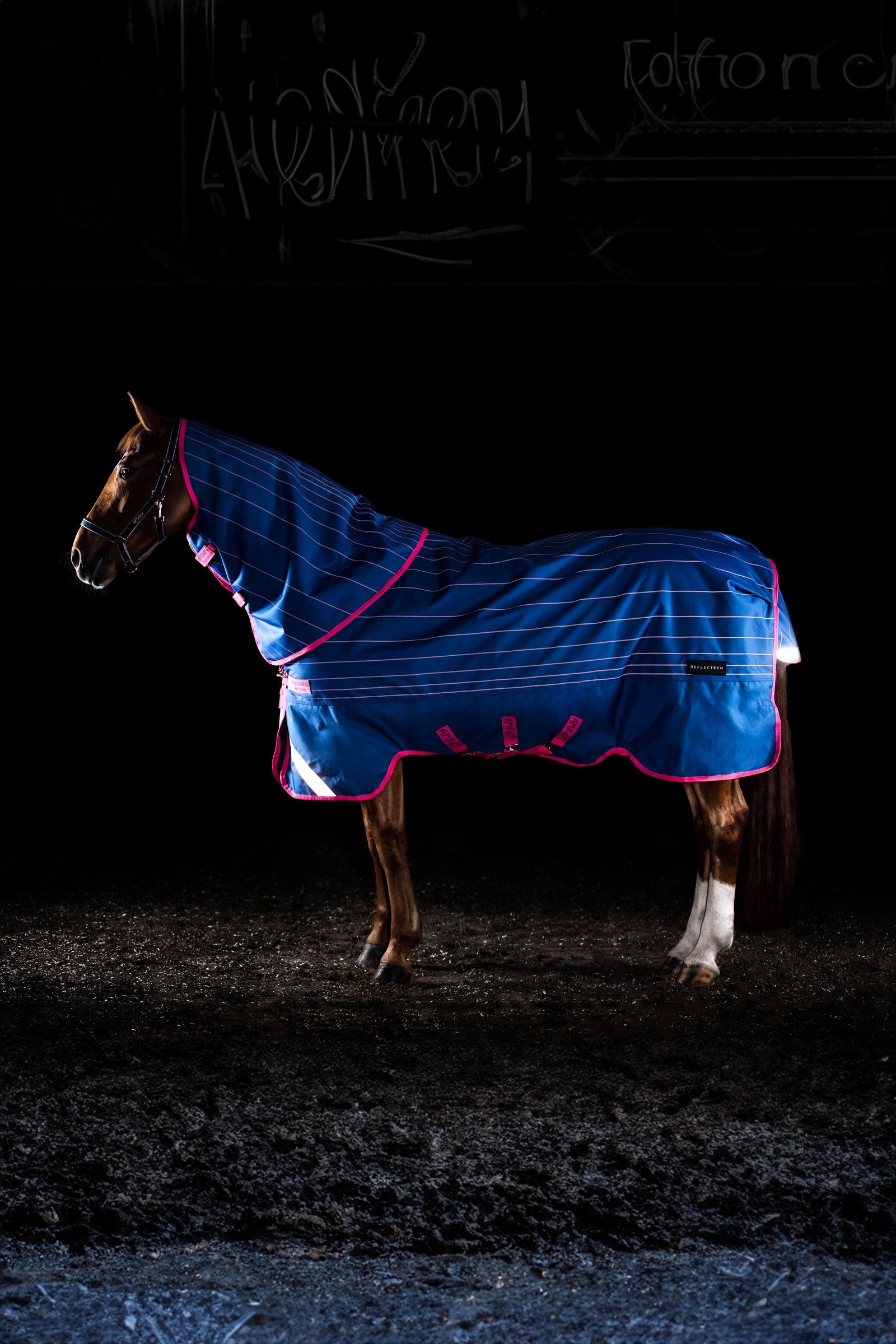Horseware Amigo Bravo 12 Reflectech Plus couverture d'extérieur avec cou amovible, 250g Couvertures cheval
