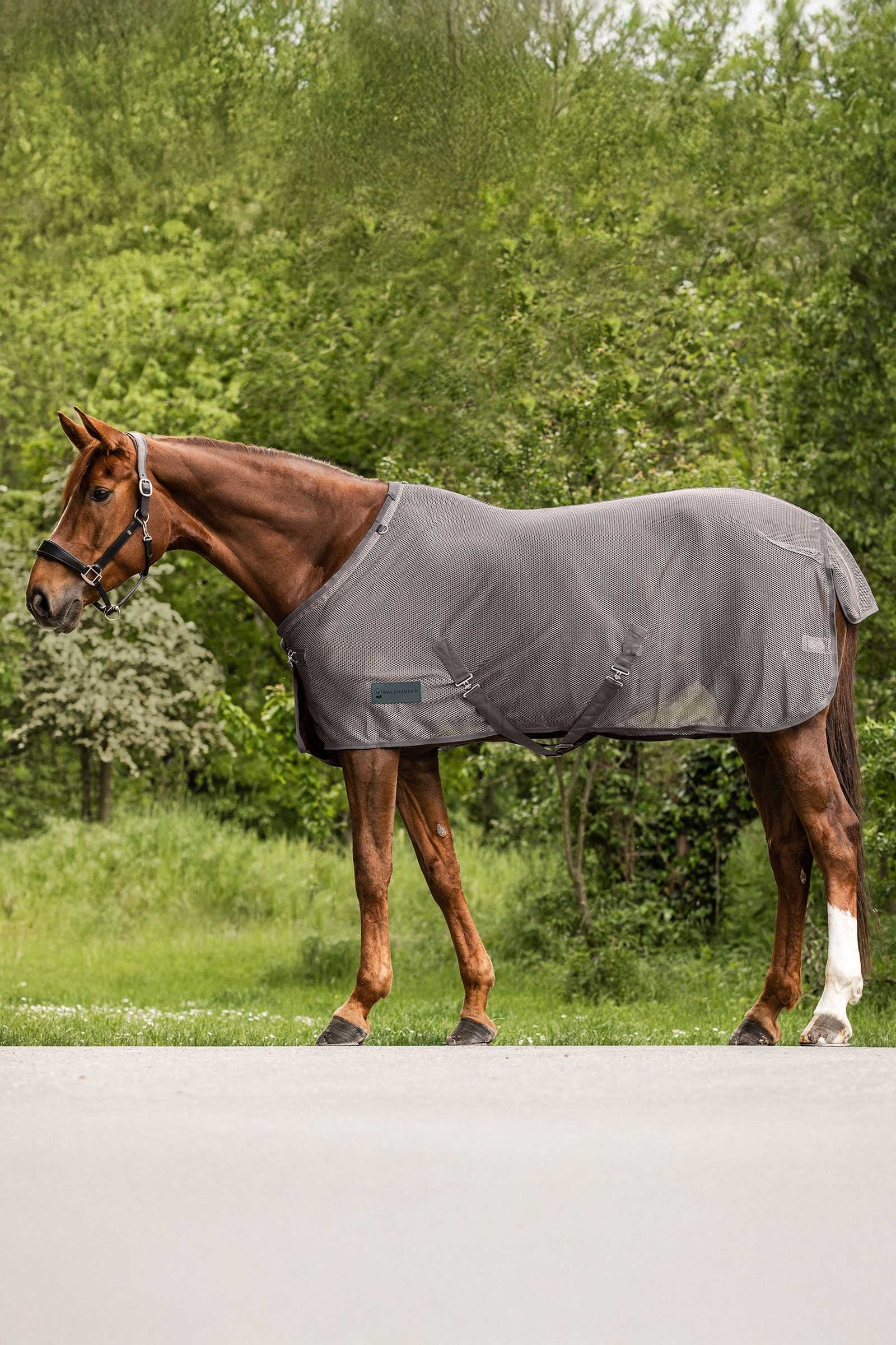 Waldhausen Comfort couverture anti-mouches Couvertures cheval