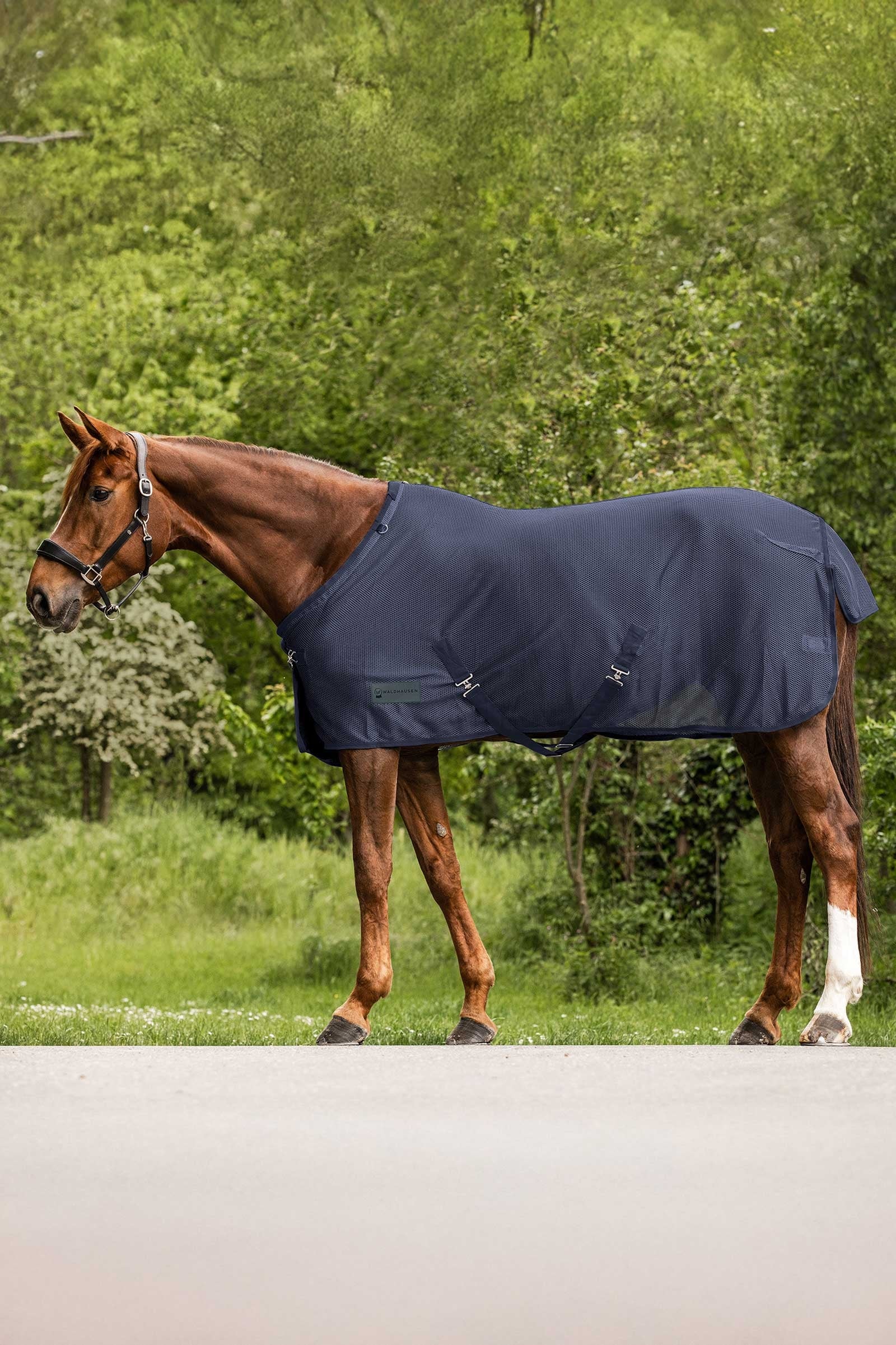 Waldhausen Comfort couverture anti-mouches Couvertures cheval