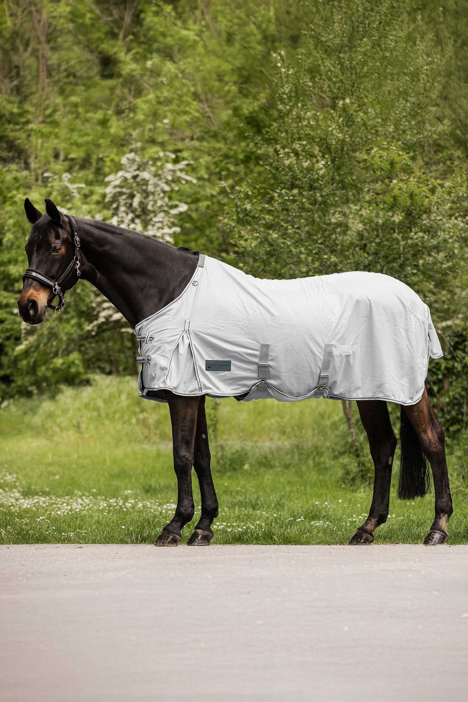 Waldhausen Protect couverture anti-mouches Couvertures cheval