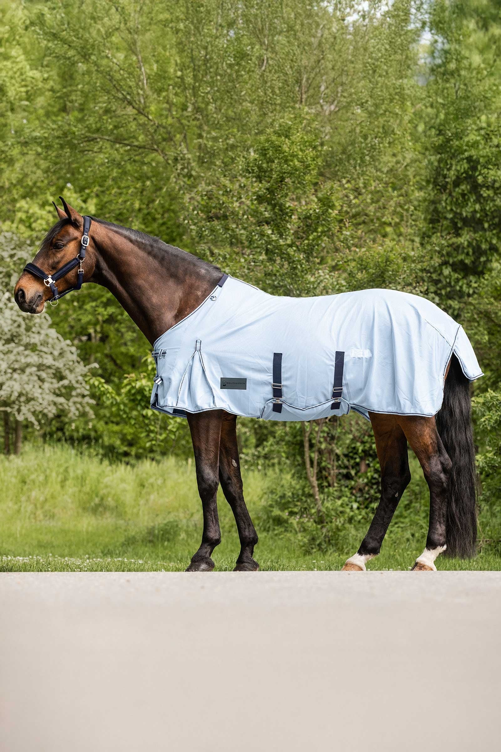 Waldhausen Protect couverture anti-mouches Couvertures cheval