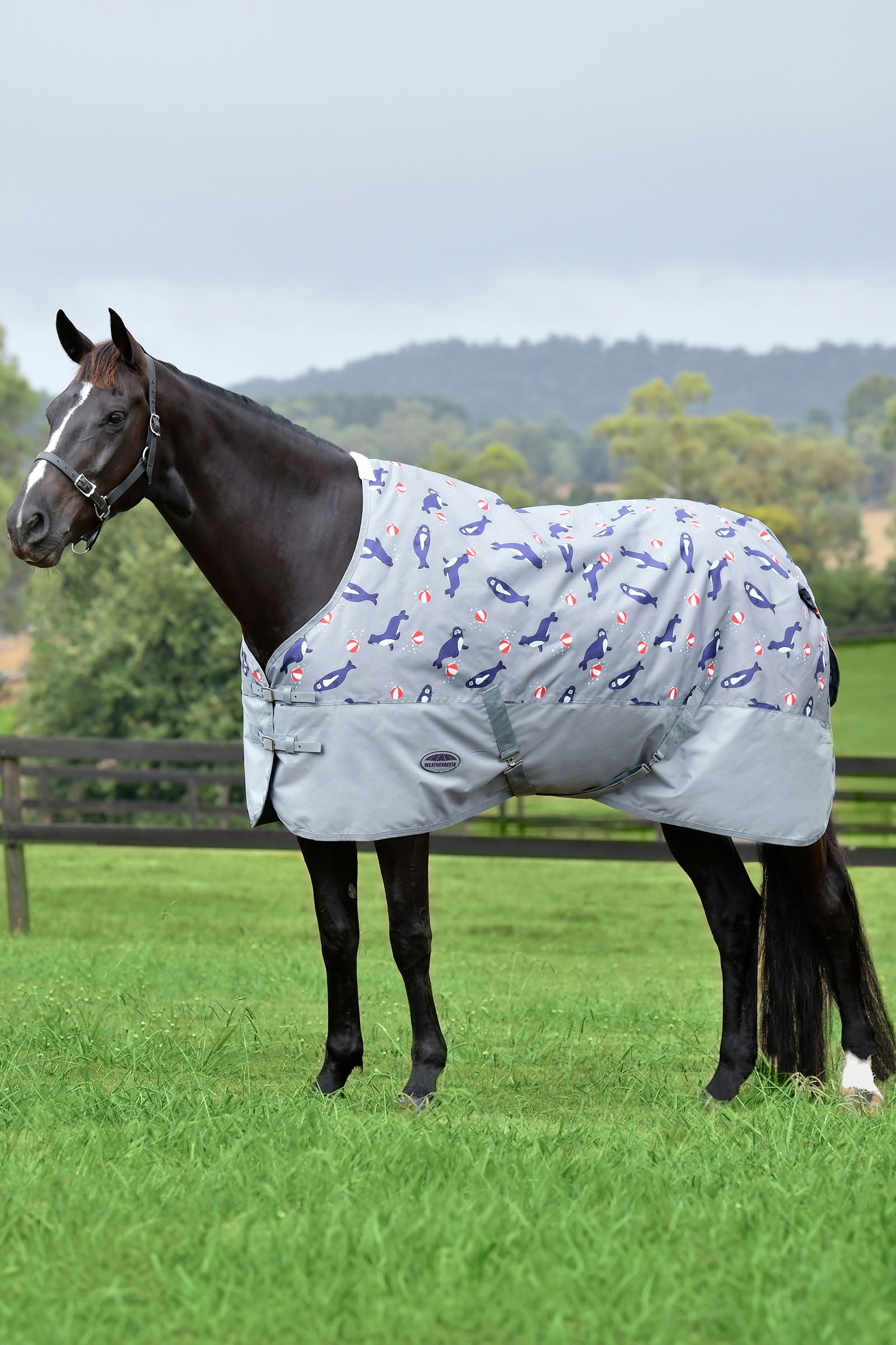 Weatherbeeta Comfitec Tyro avec encolure standard Lite Plus, 50g Couvertures cheval