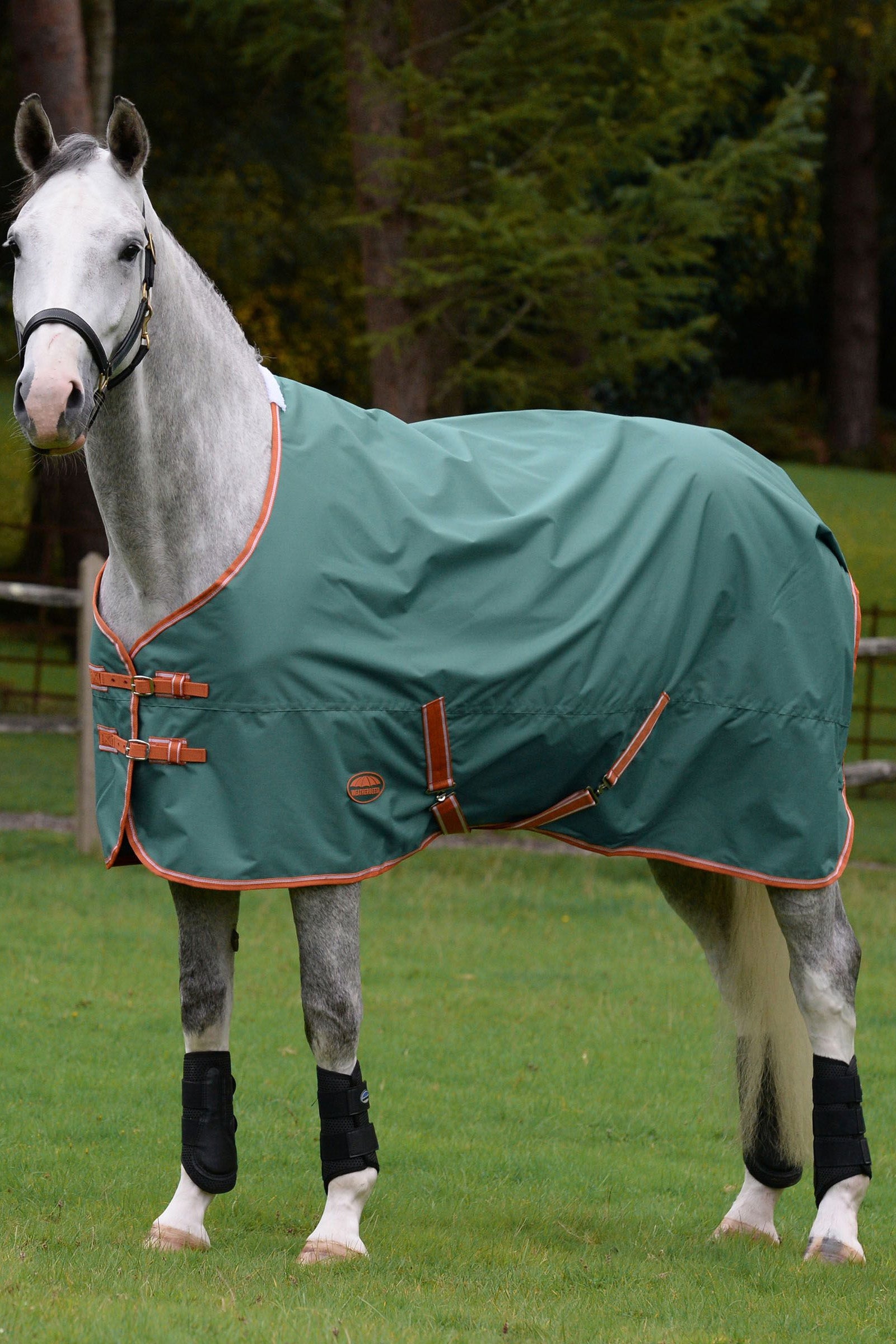 Weatherbeeta Comfitec Tyro avec encolure standard Lite Plus, 50g Couvertures cheval