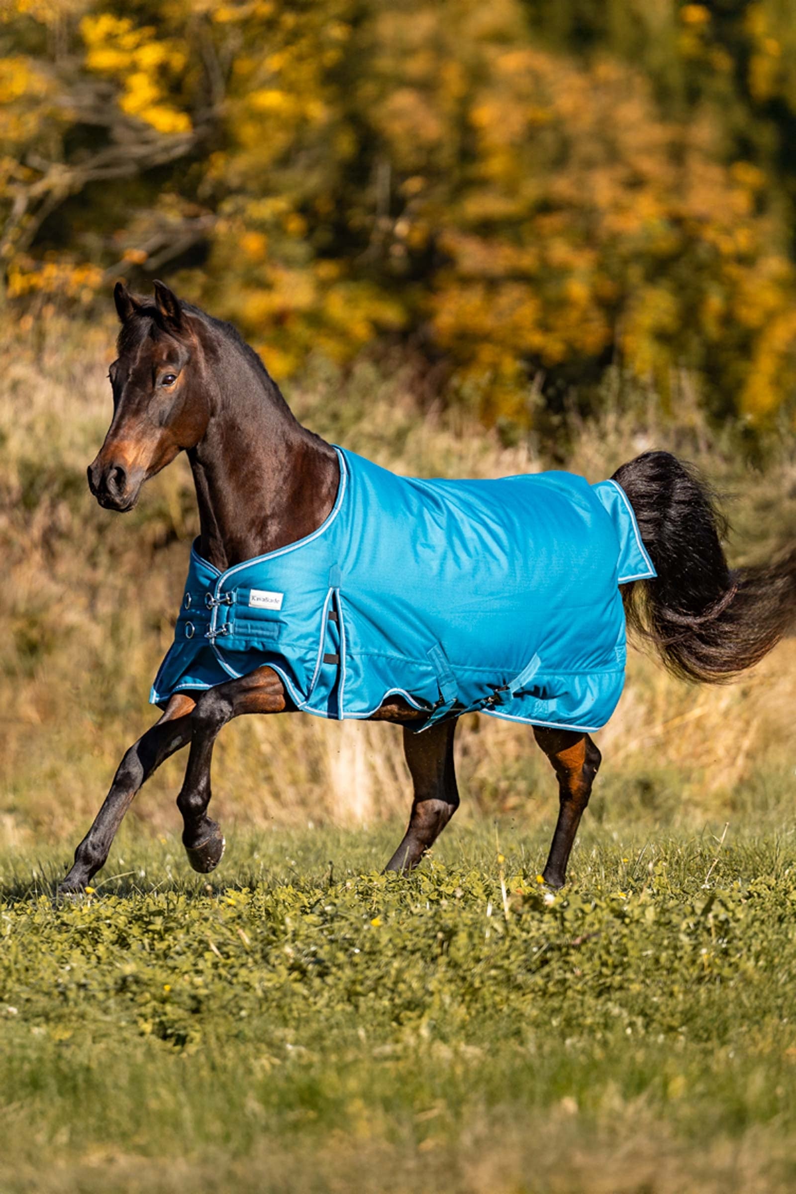 Kavalkade Alaska IV Fleece Turnout Rug Horse Rugs