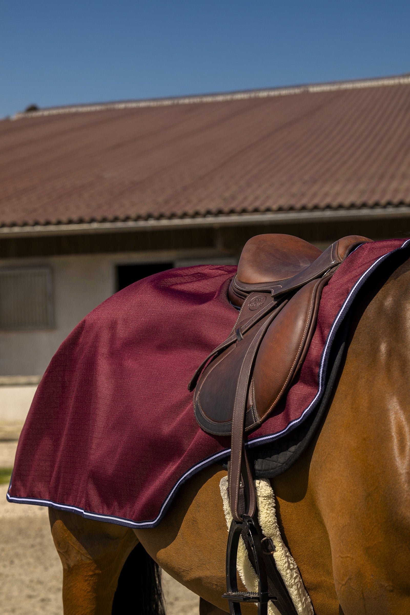 Equi Theme EQUITHÈME TYREX Aisance 1200D Exercice Rug Horse Rugs