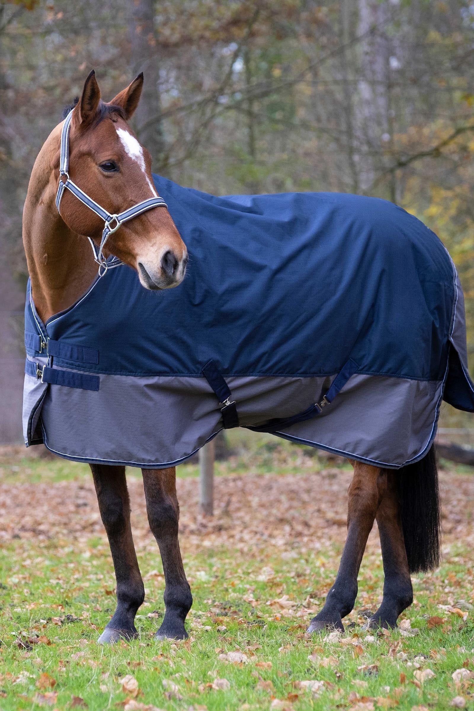 Equi Theme EQUITHÈME TYREX 600D Turnout Rug, 0 g Horse Rugs