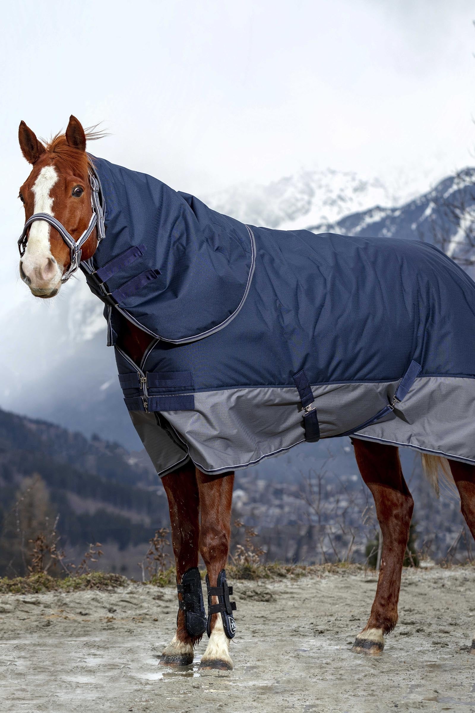 Equi Theme EQUITHÈME TYREX 600D Turnout Rug, 0 g Horse Rugs