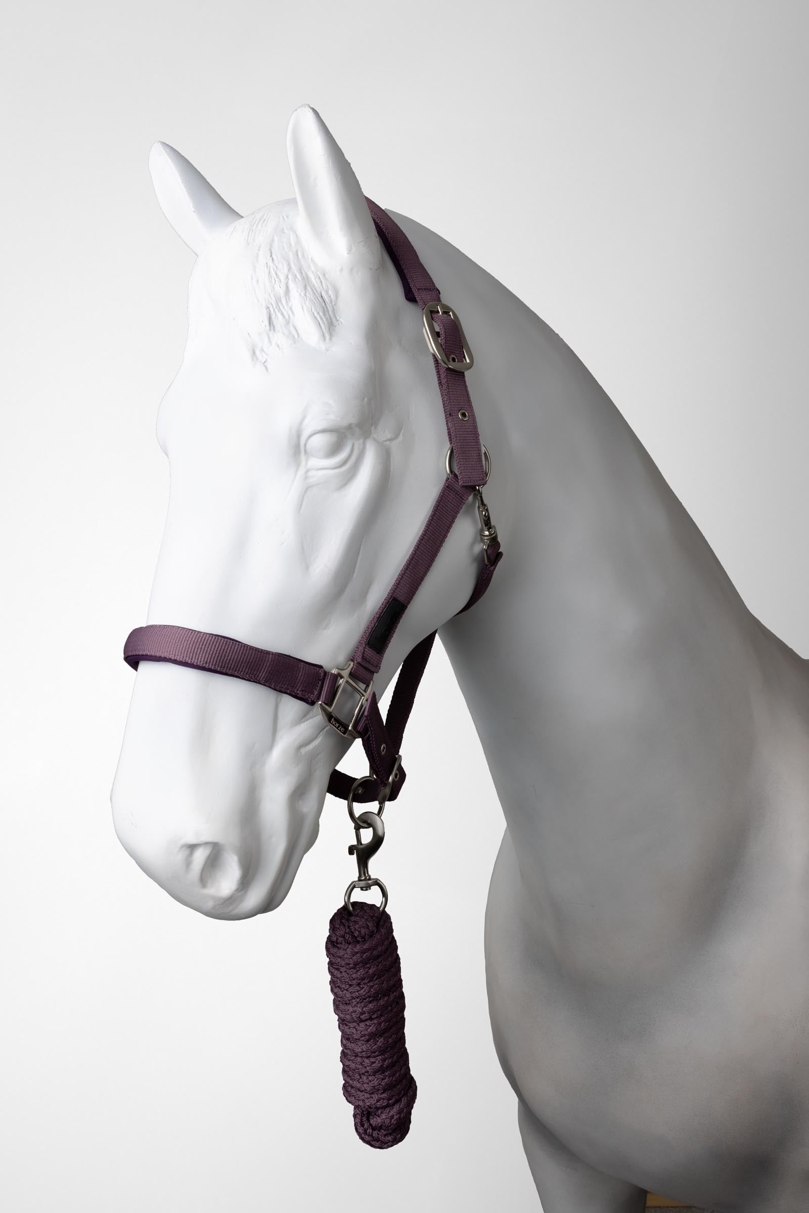 Horze Lucca Licol et longe emsemble Licols & longes