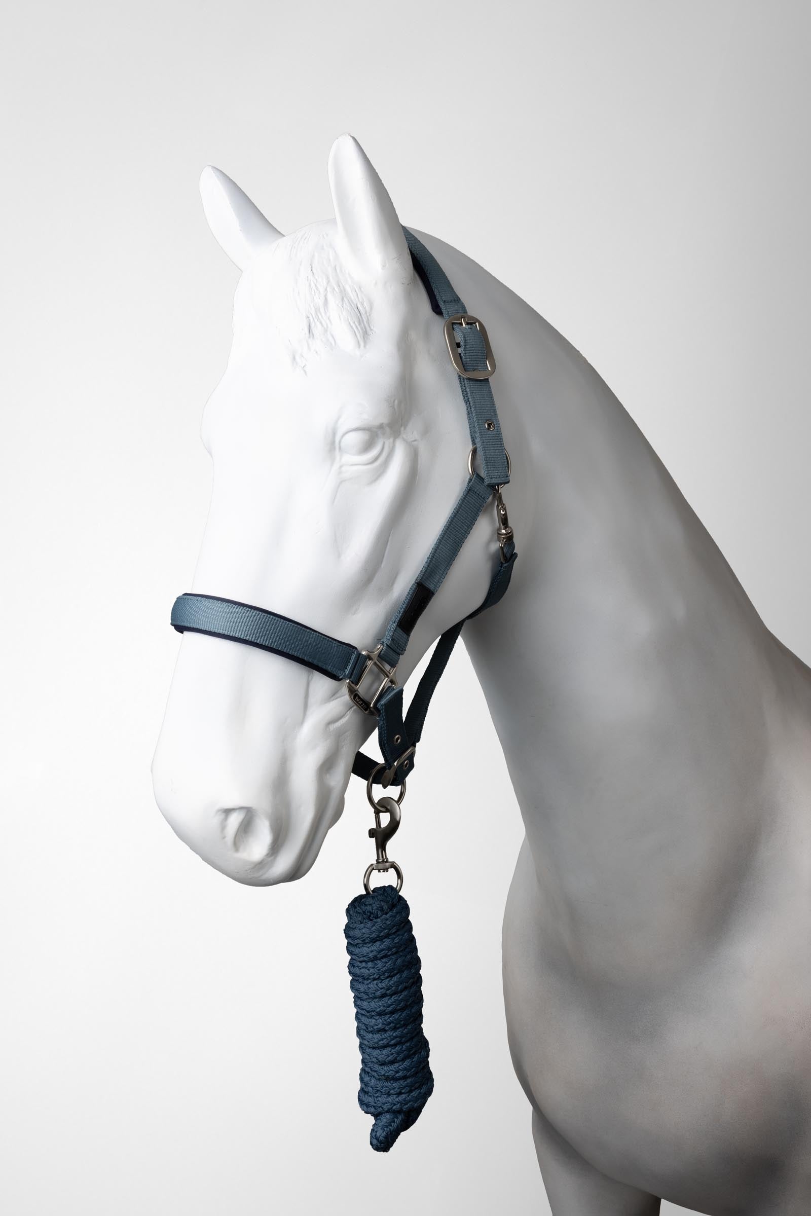 Horze Lucca Licol et longe emsemble Licols & longes