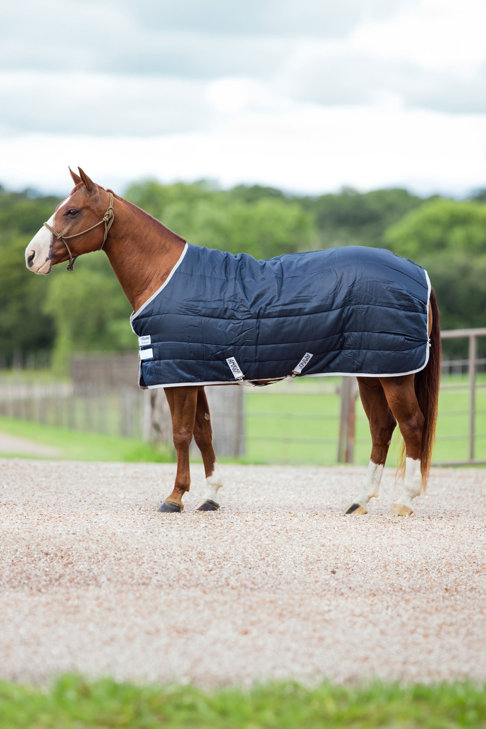 Horseware Amigo Insulator couverture écurie, 200g Couvertures cheval