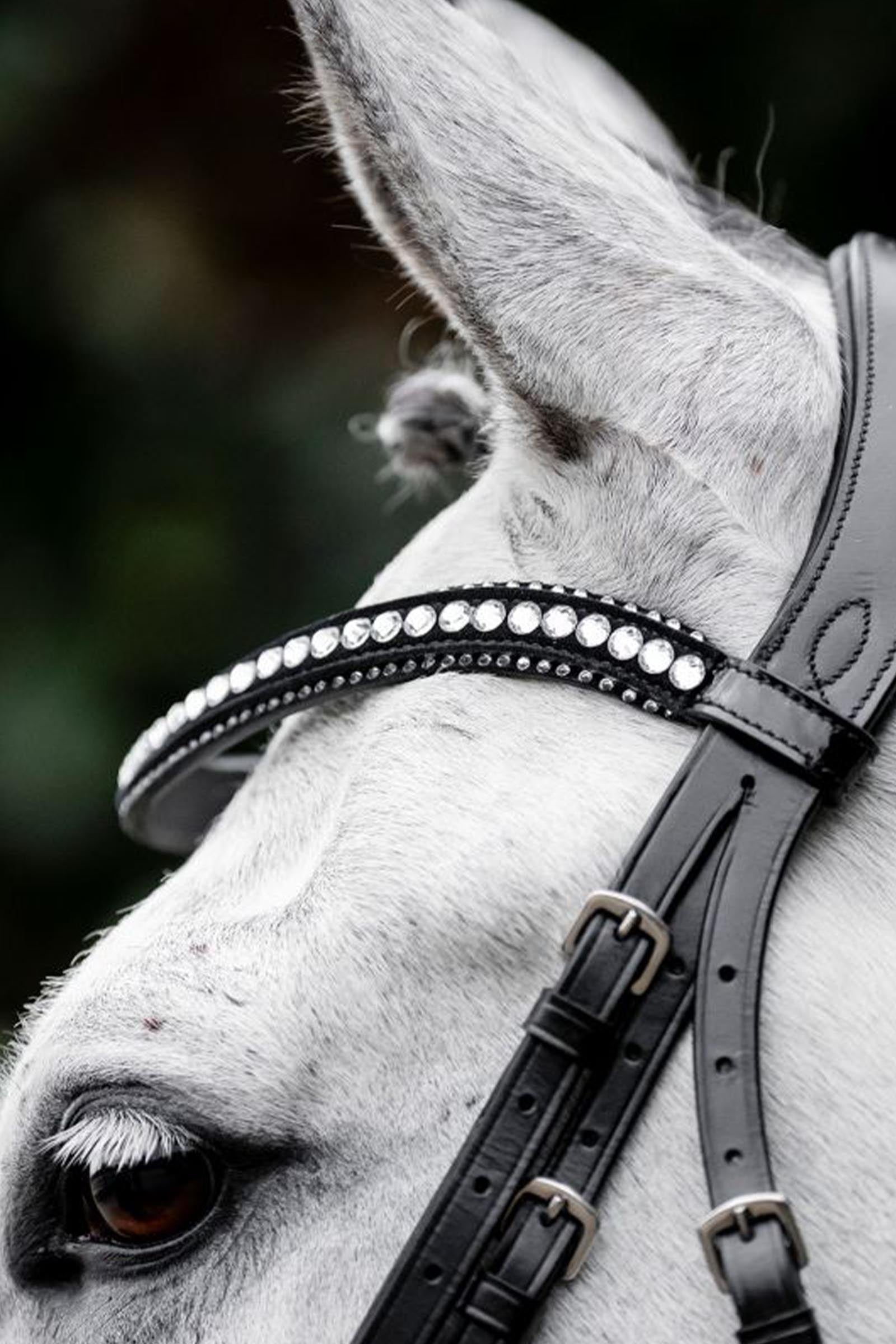 Horseware Diamante Flash Bridle Bridles & Reins