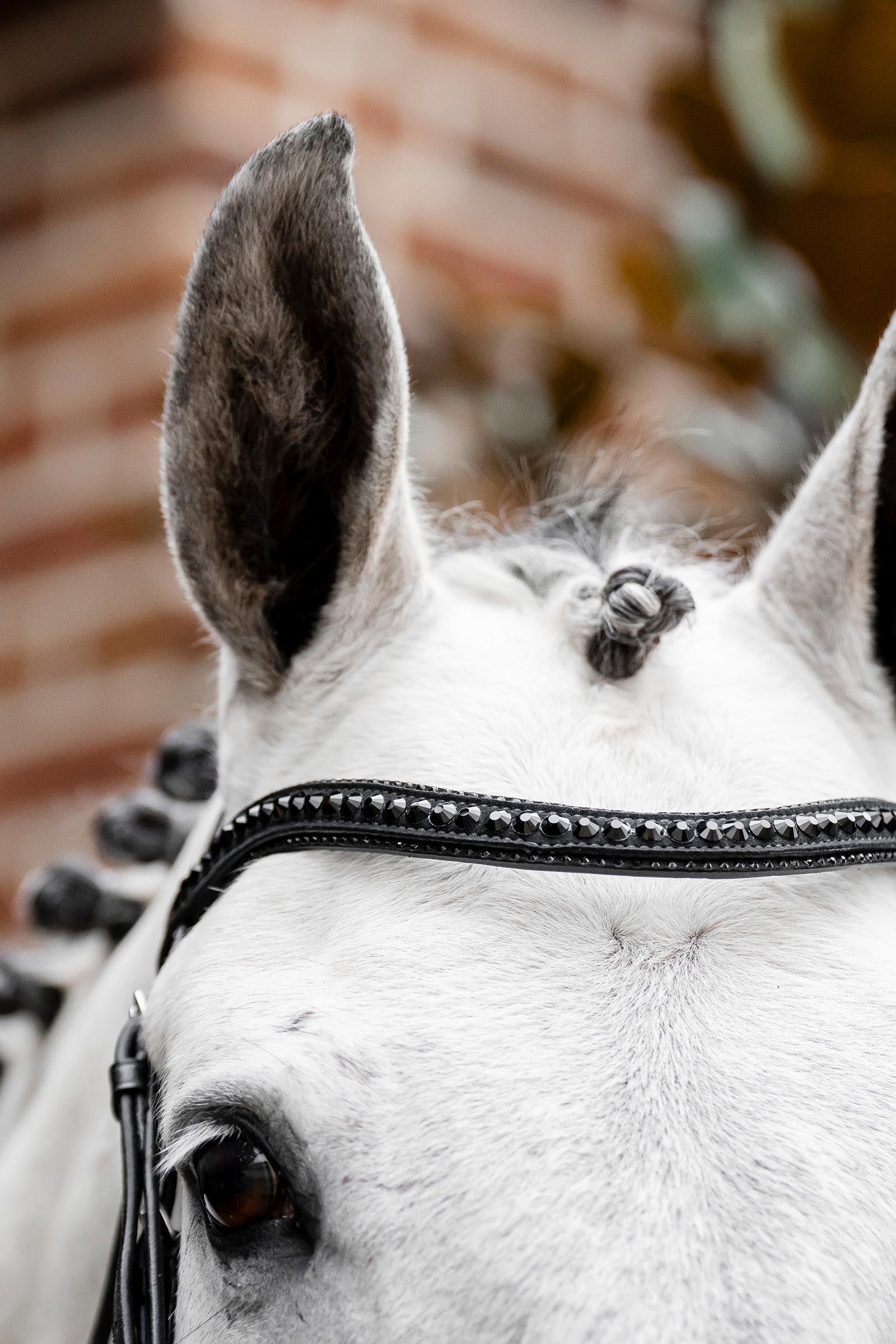 Horseware Diamante Flash Bridle Bridles & Reins