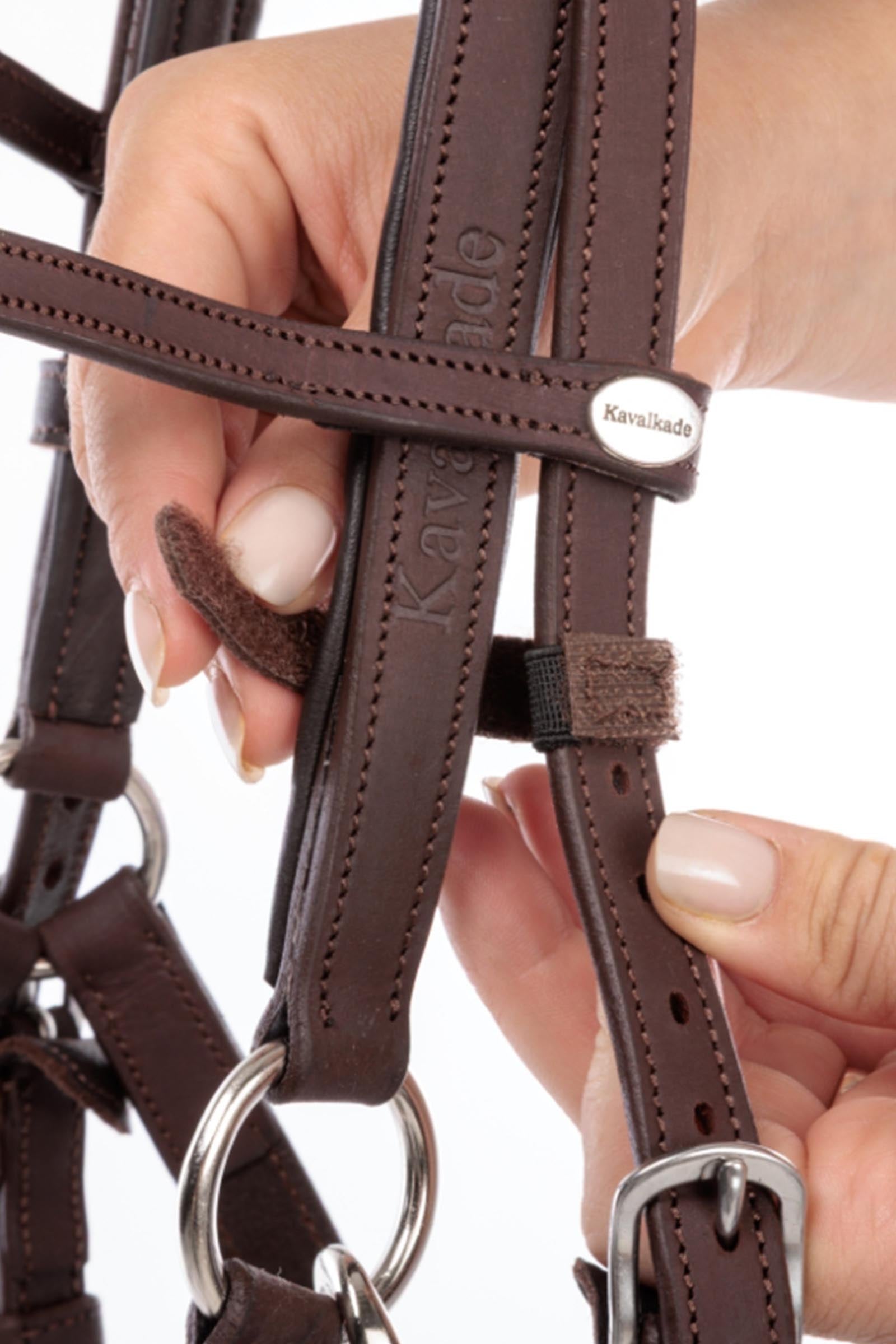 Kavalkade Artemis Trail Bridle Bridles & Reins