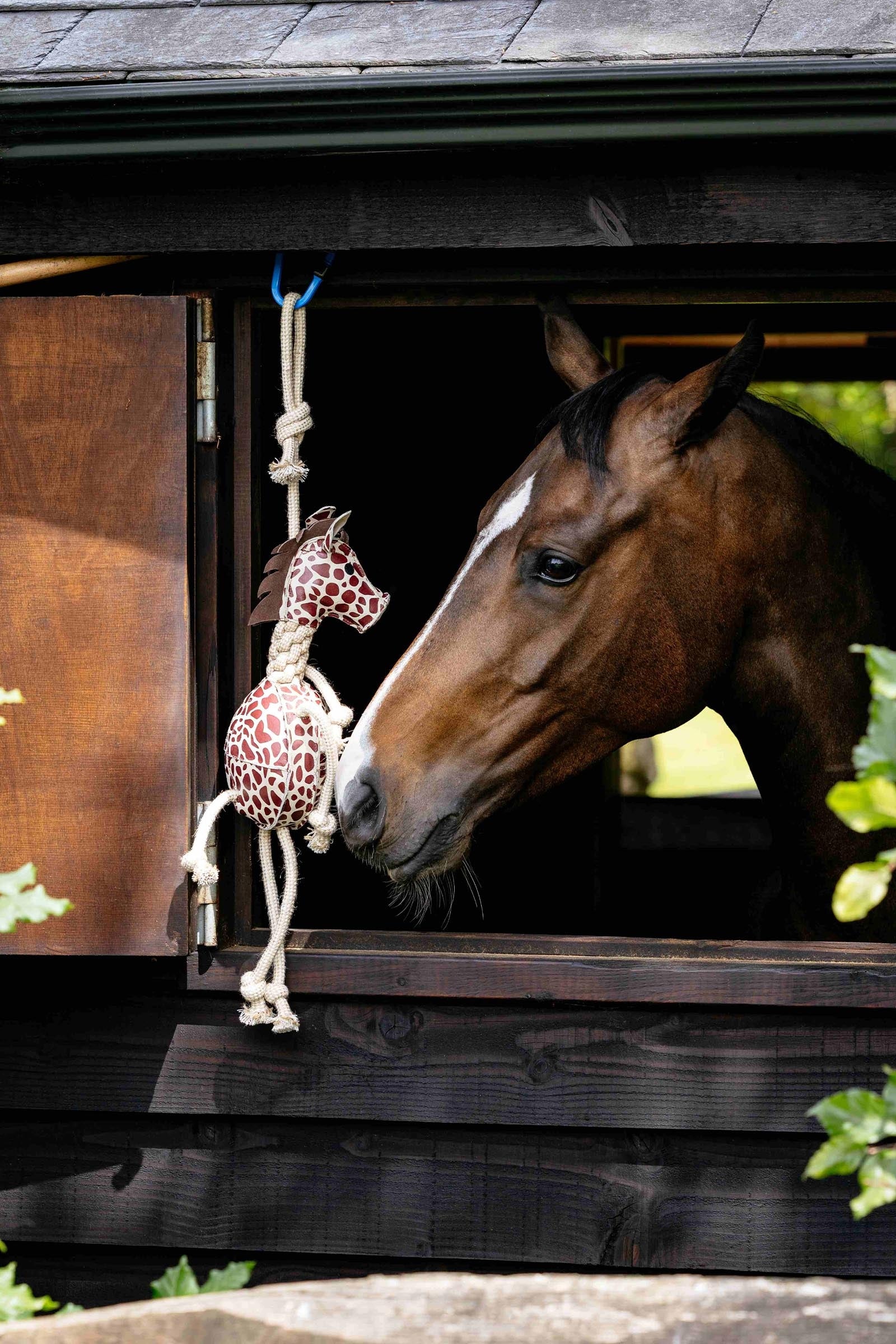 LeMieux Horse Toy Giraffe Horse Toys & Riding Arena Supplies