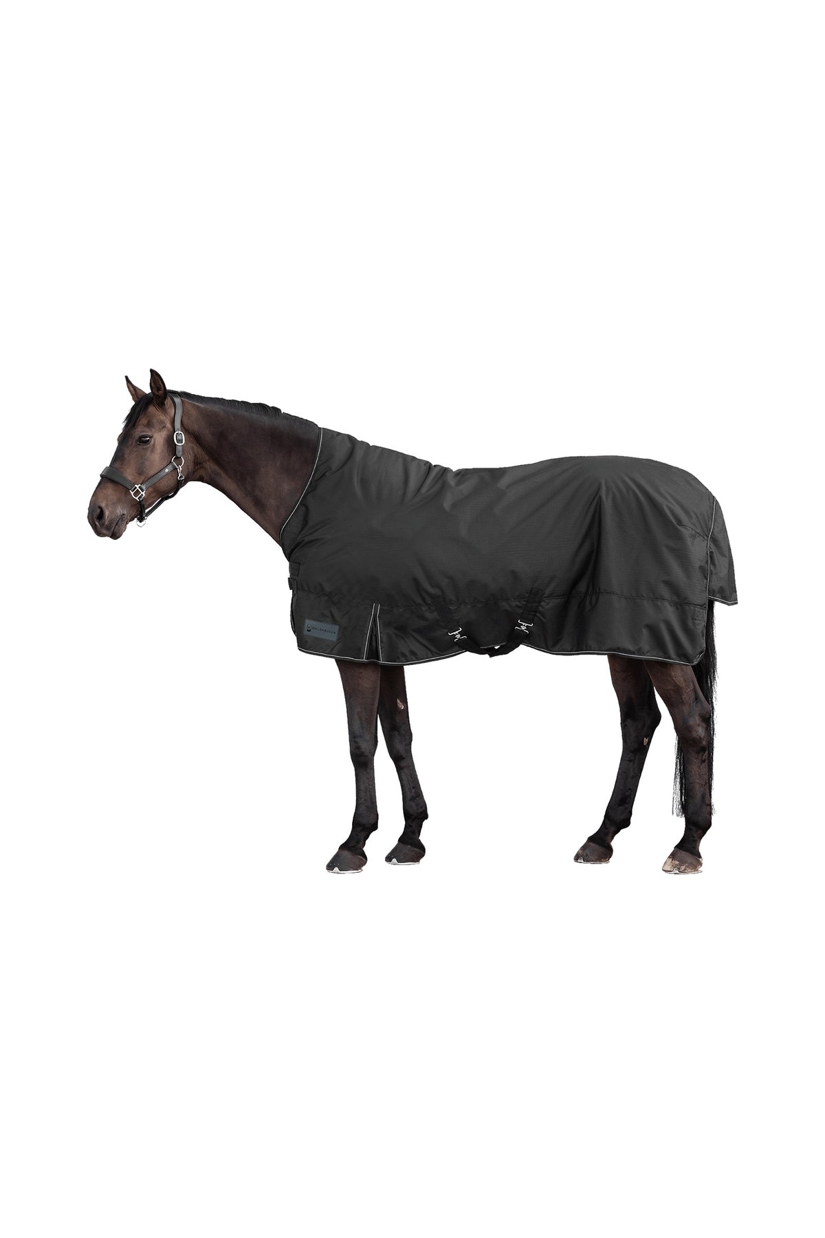 Waldhausen NORDIC 600D Couverture d'Extérieur avec Encolure Haute, 100 g Couvertures cheval