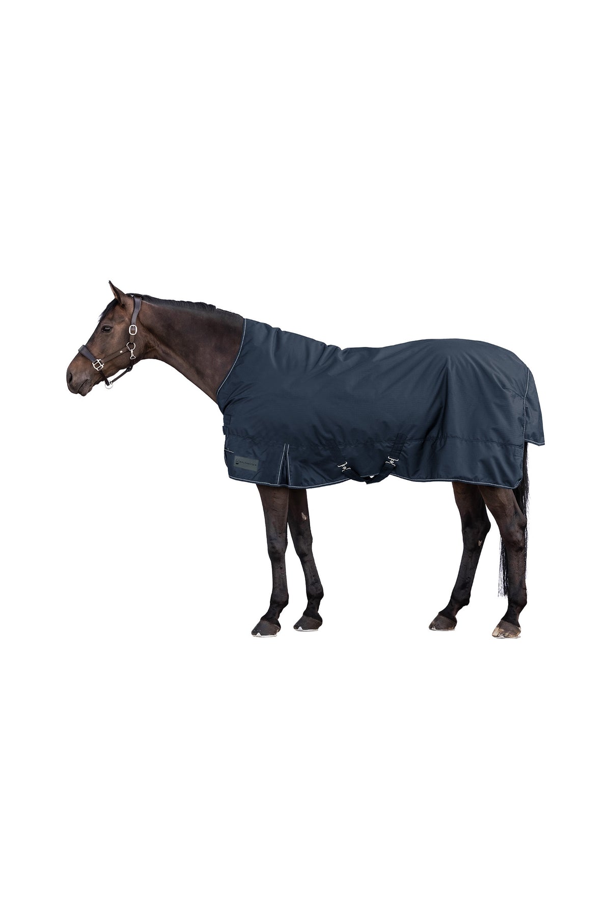 Waldhausen NORDIC 600D Couverture d'Extérieur avec Encolure Haute, 100 g Couvertures cheval