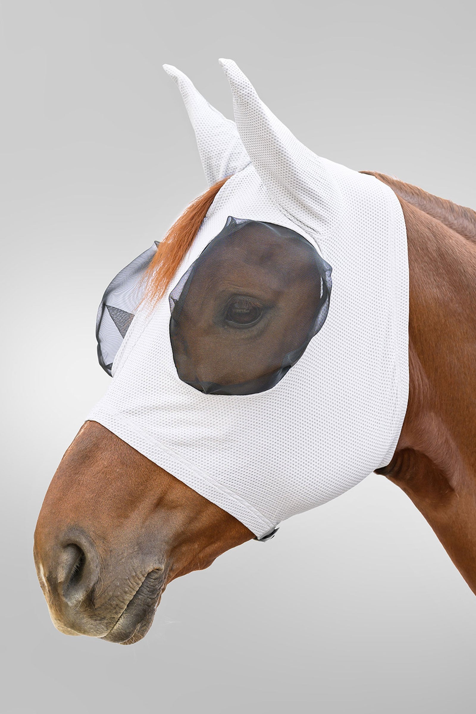 Waldhausen Breath Puck masque anti-mouches avec protection UV Anti-mouches cheval