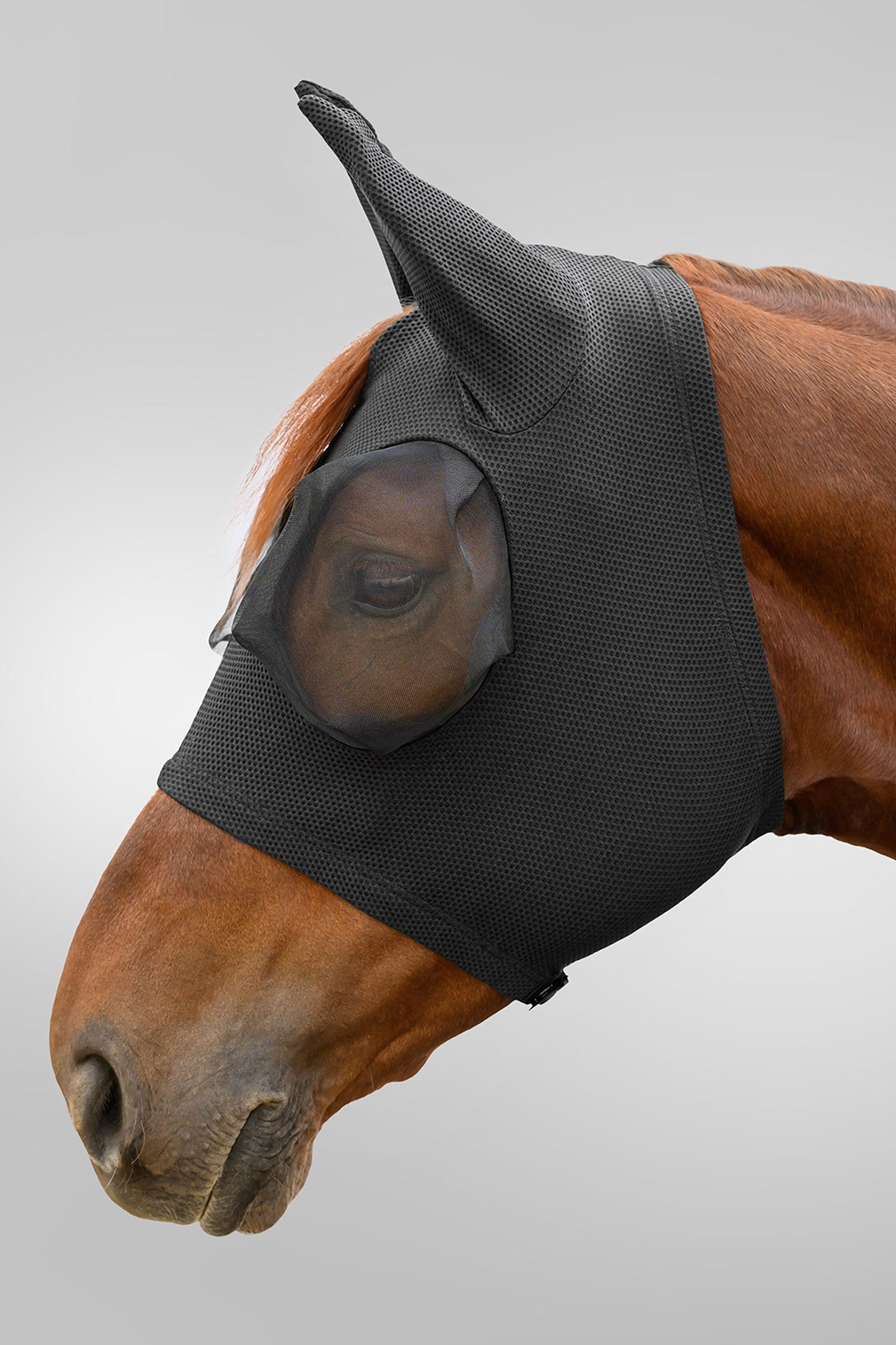 Waldhausen Breath Puck masque anti-mouches avec protection UV Anti-mouches cheval