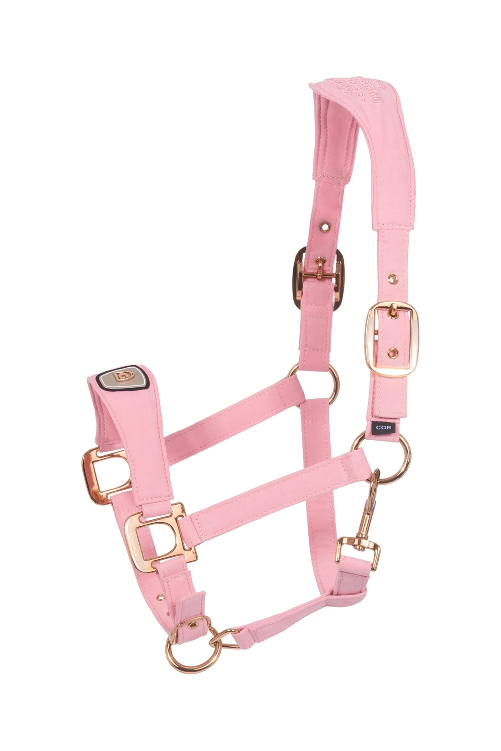 Cavallo CAVALPAWEL licol Licols & longes