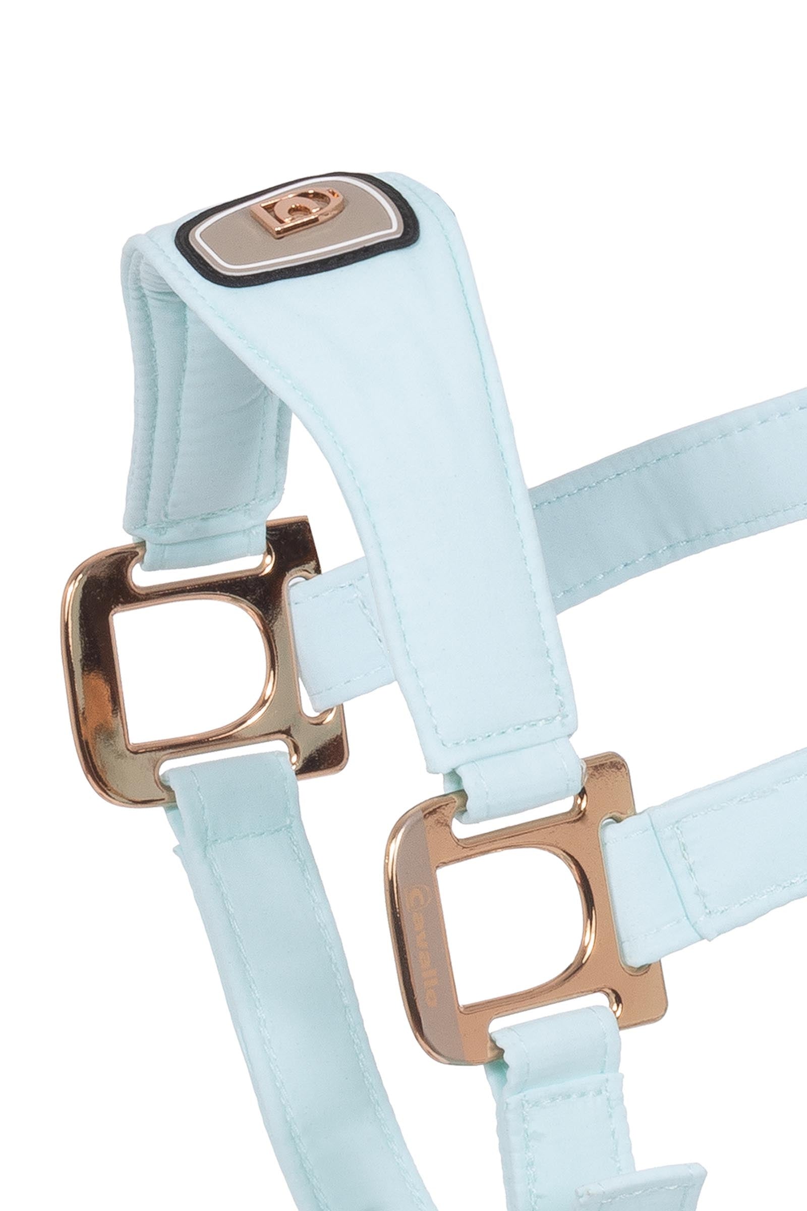 Cavallo CAVALPAWEL Halter Halters & Leads