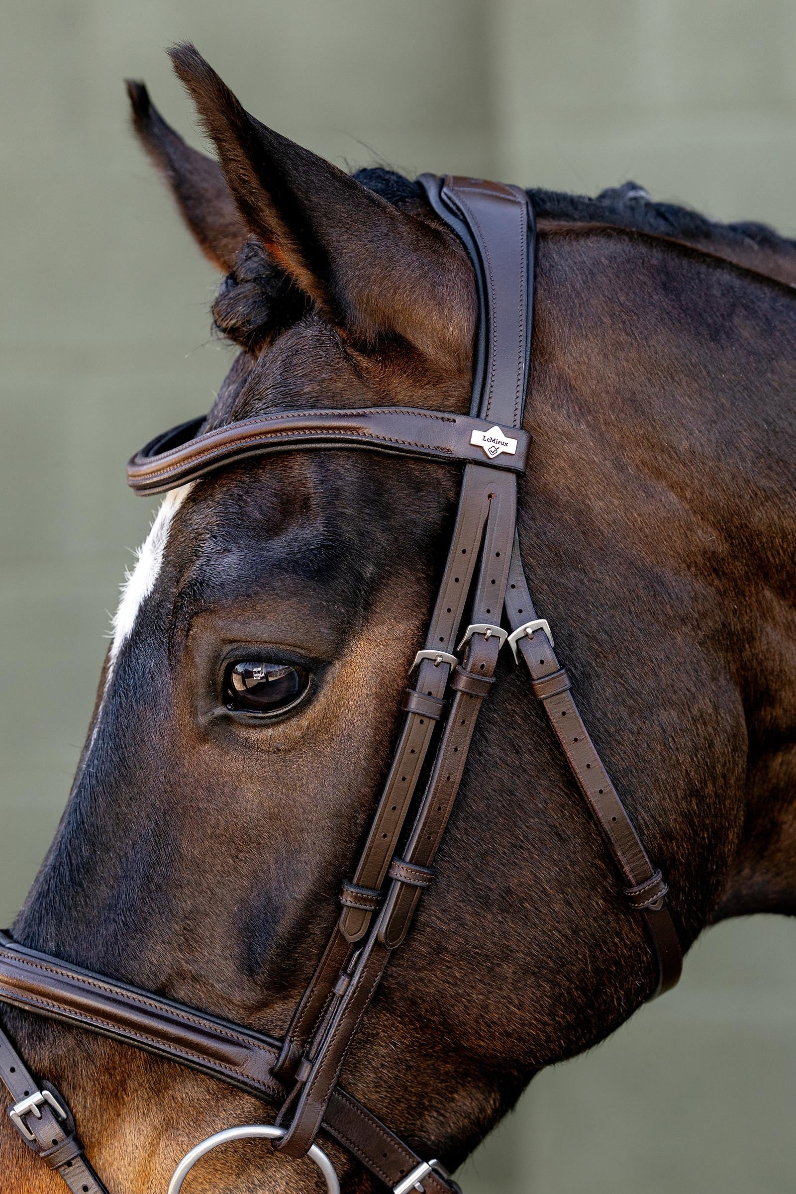 LeMieux Arika Flash Bridle Bridles & Reins