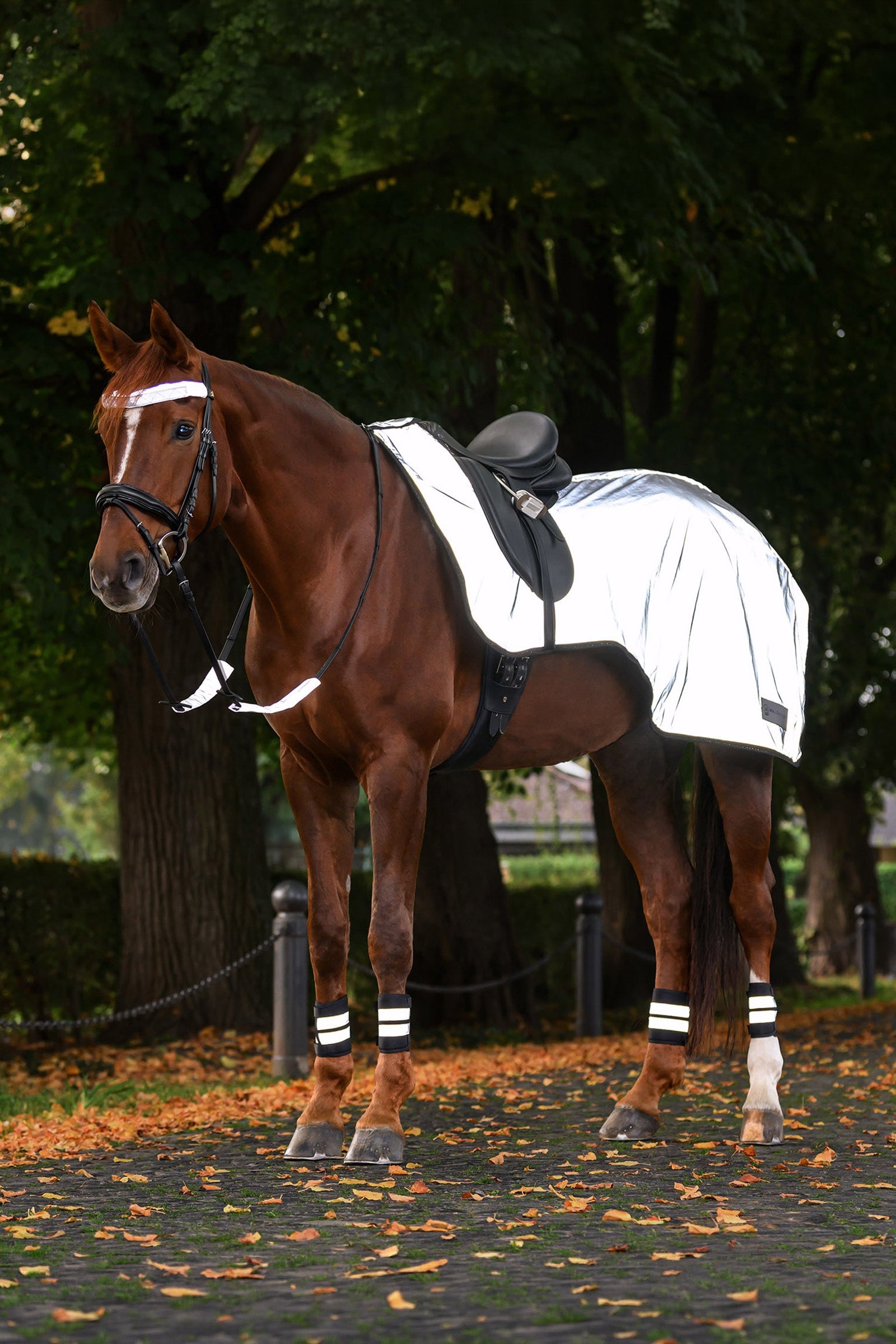 Waldhausen REFLEX Exercise Rug Reflective