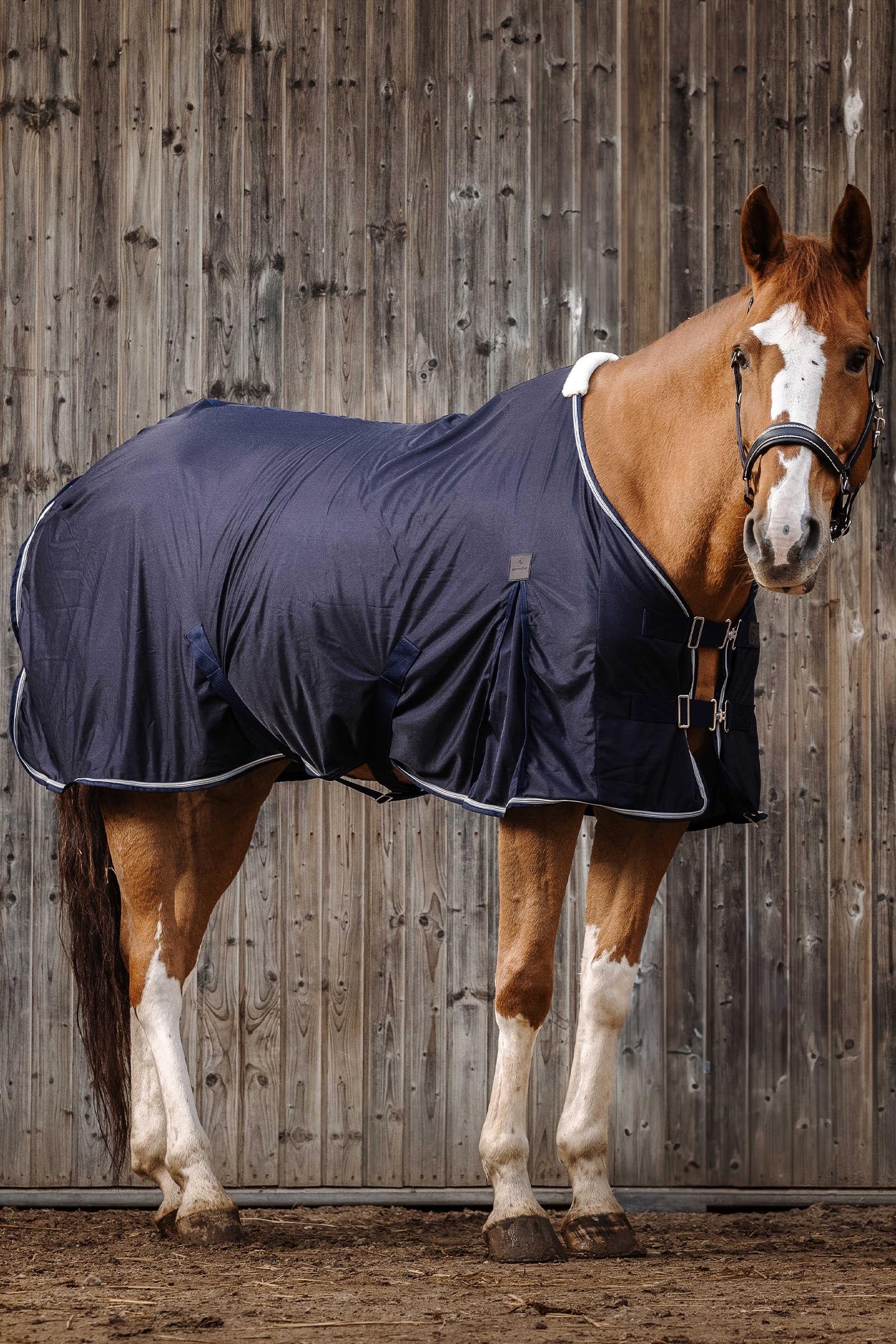 EQUITHÈME Micro Mesh Sheet Horse Rugs