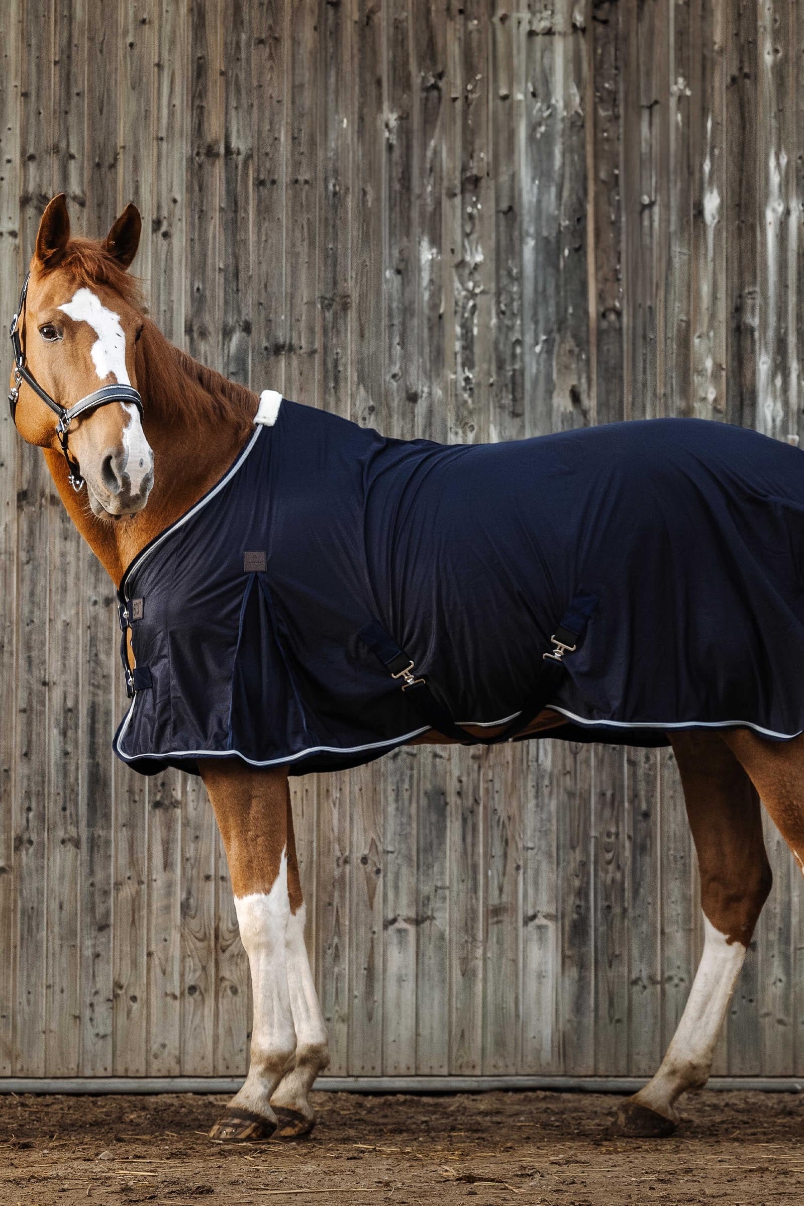 EQUITHÈME Micro Mesh Sheet Horse Rugs