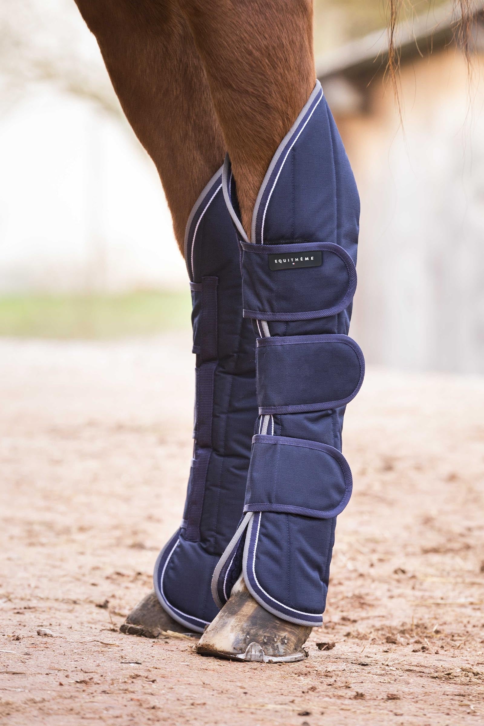 Equi Theme EQUITHÈME TYREX 600D guêtres de transport imperméables Leg & Hoof Protection