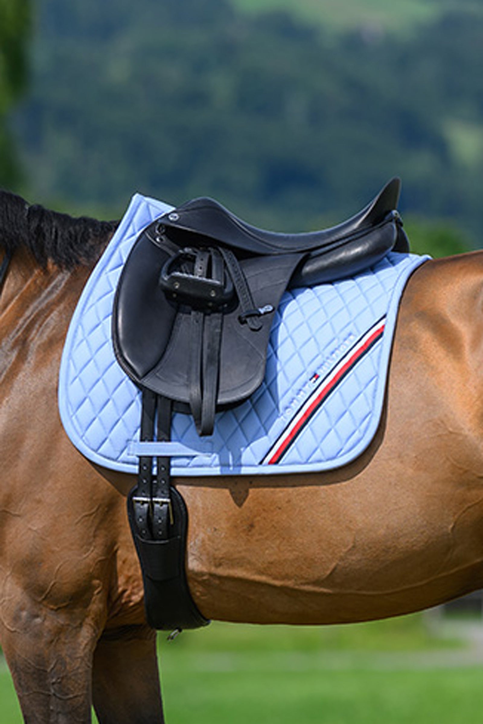 Tommy Hilfiger Equestrian Stanford Dressage Saddlepad Saddle Pads