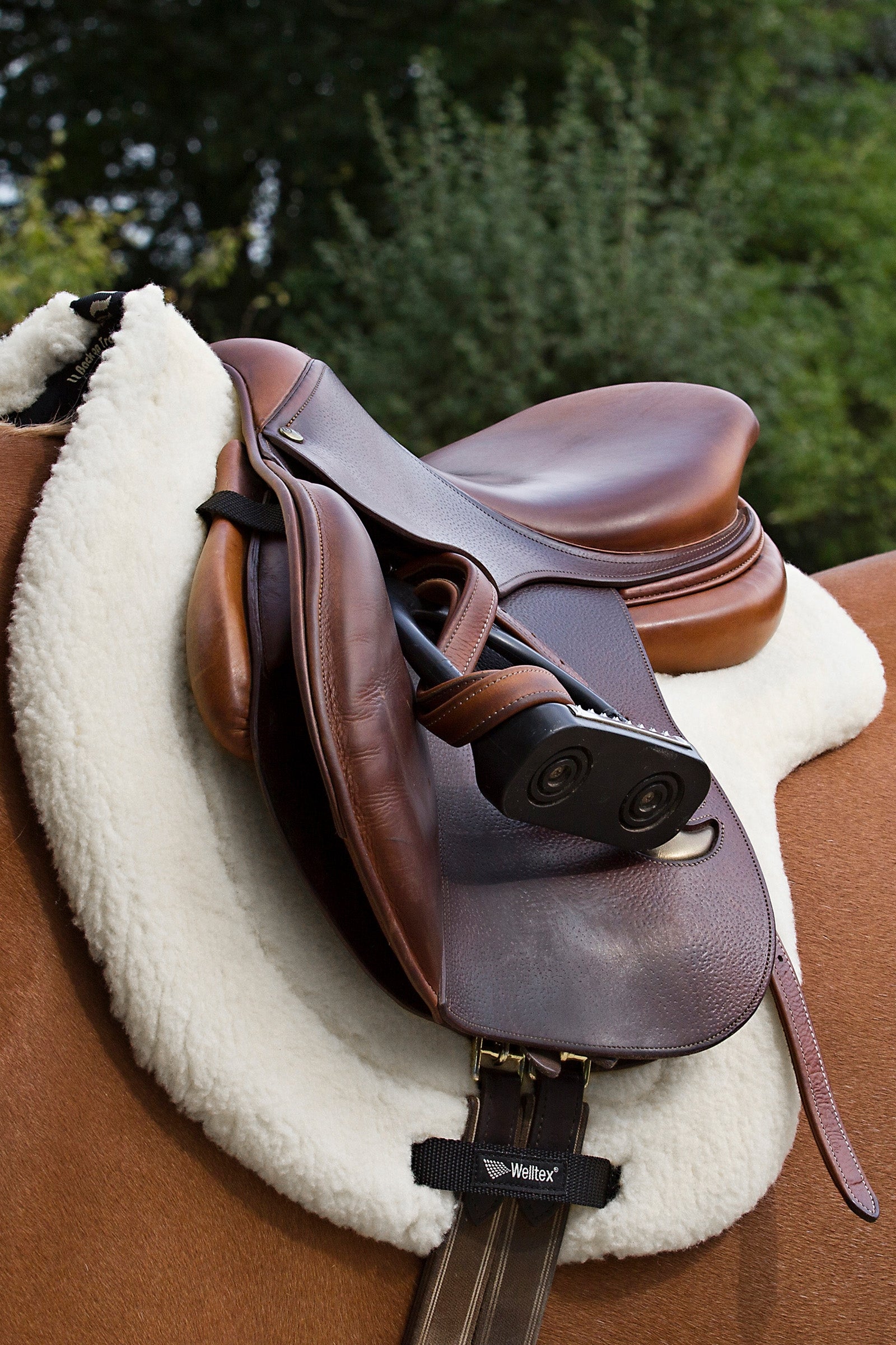 Tapis de selle Basic - Tapis de selle & pads - Equitation Tapis de selle Basic - Tapis de selle & pads - Equitation