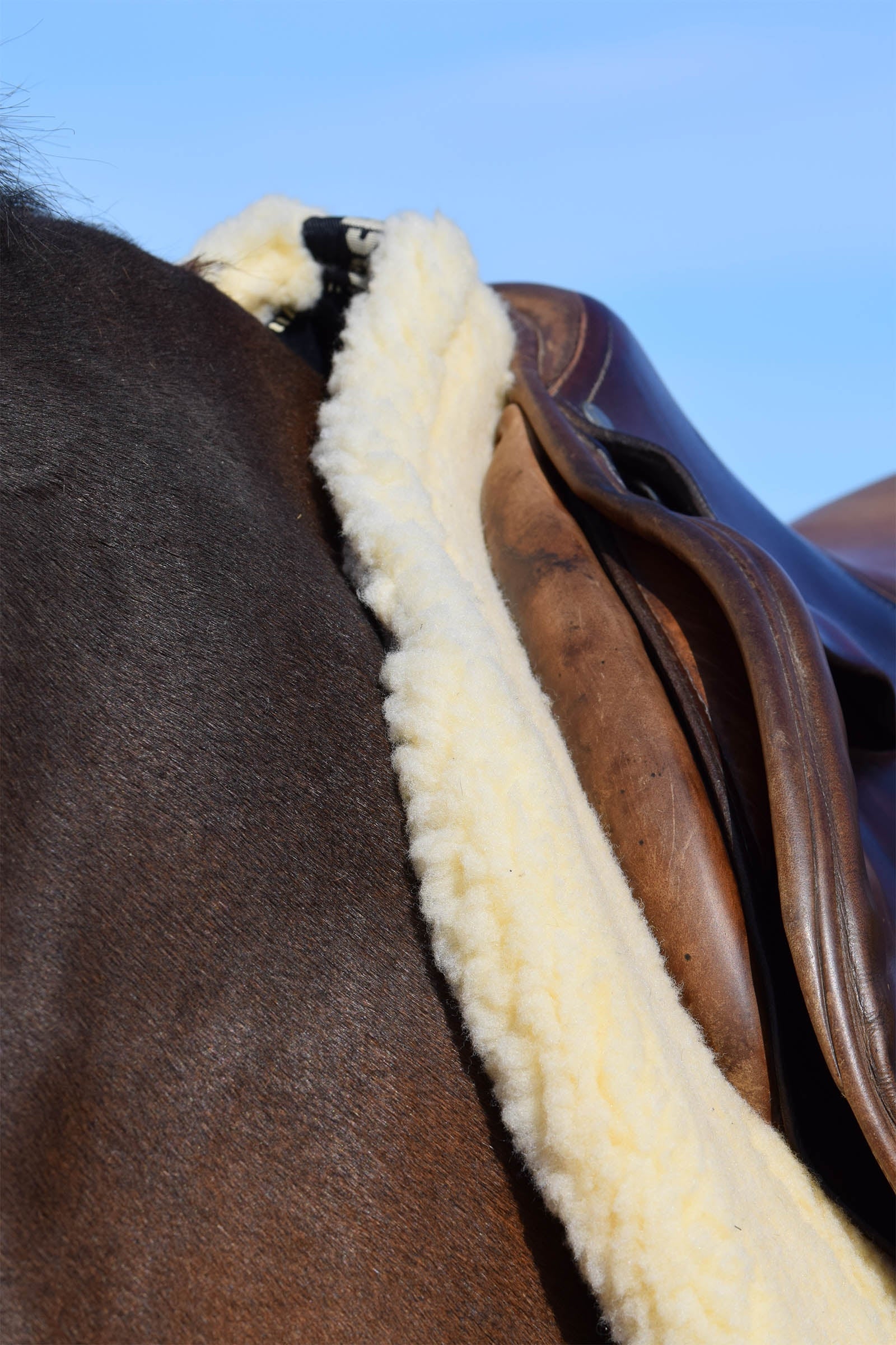 Back on Track Back On Track "Teddy" Saddle Pad Saddle Pads