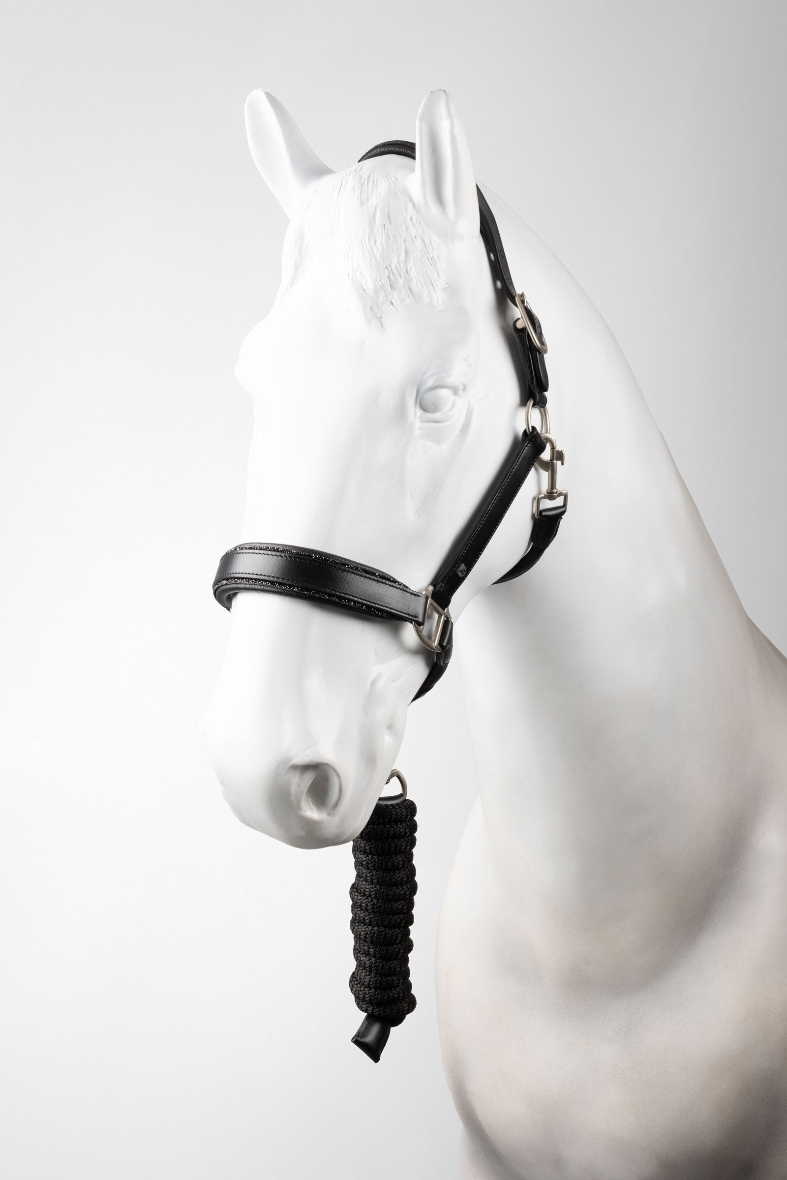 Horze Dynasty Licol en cuir et longe ensemble Licols & longes