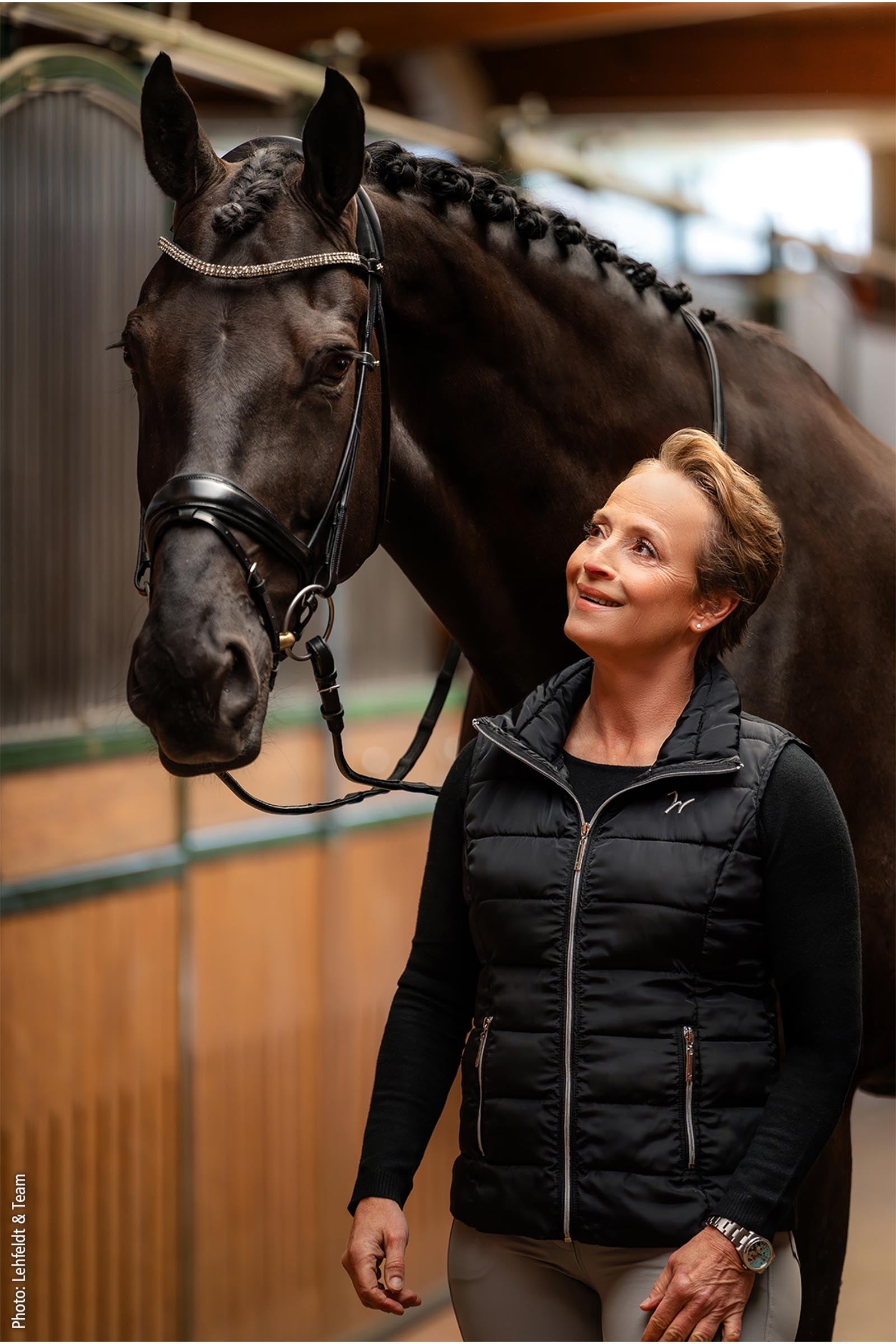 Schockemöhle Sports Satchmo Bridle - Isabell Werth Collection Bridles & Reins