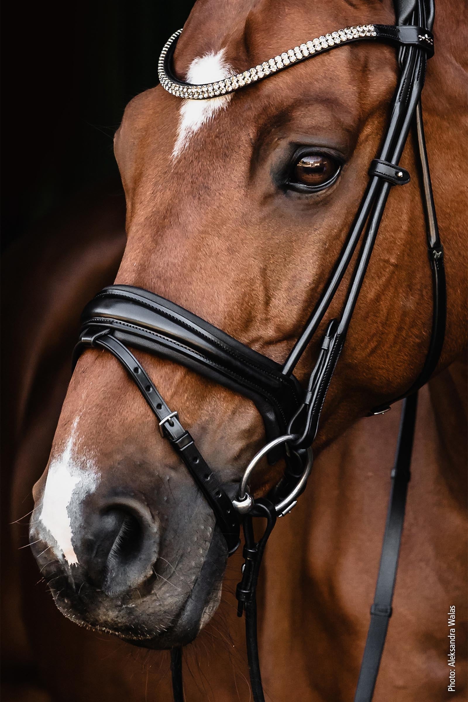 Schockemöhle Sports Satchmo Bridle - Isabell Werth Collection Bridles & Reins