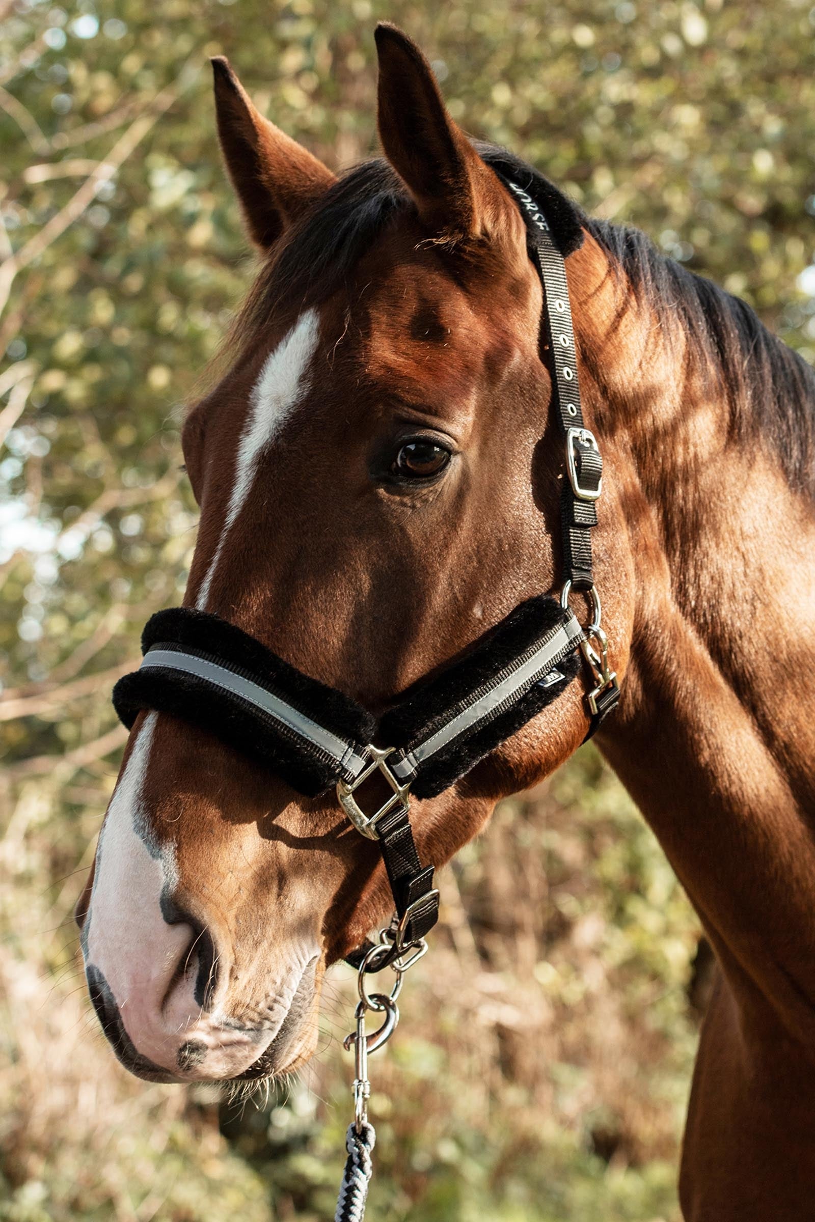 Mountain Horse Adjustable Halter With Faux Fur Halters & Leads