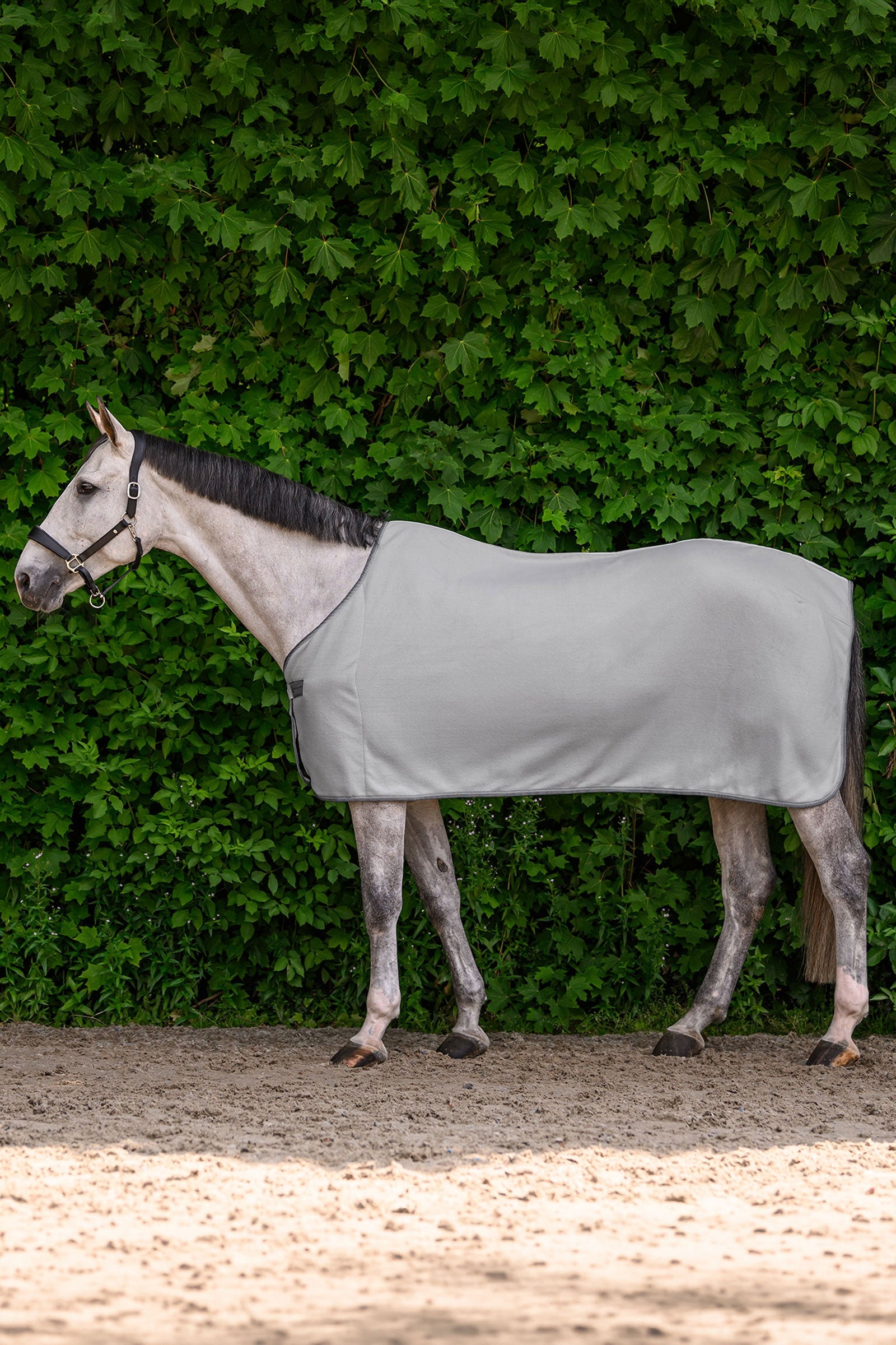Waldhausen ECONOMIC couverture polaire Couvertures cheval