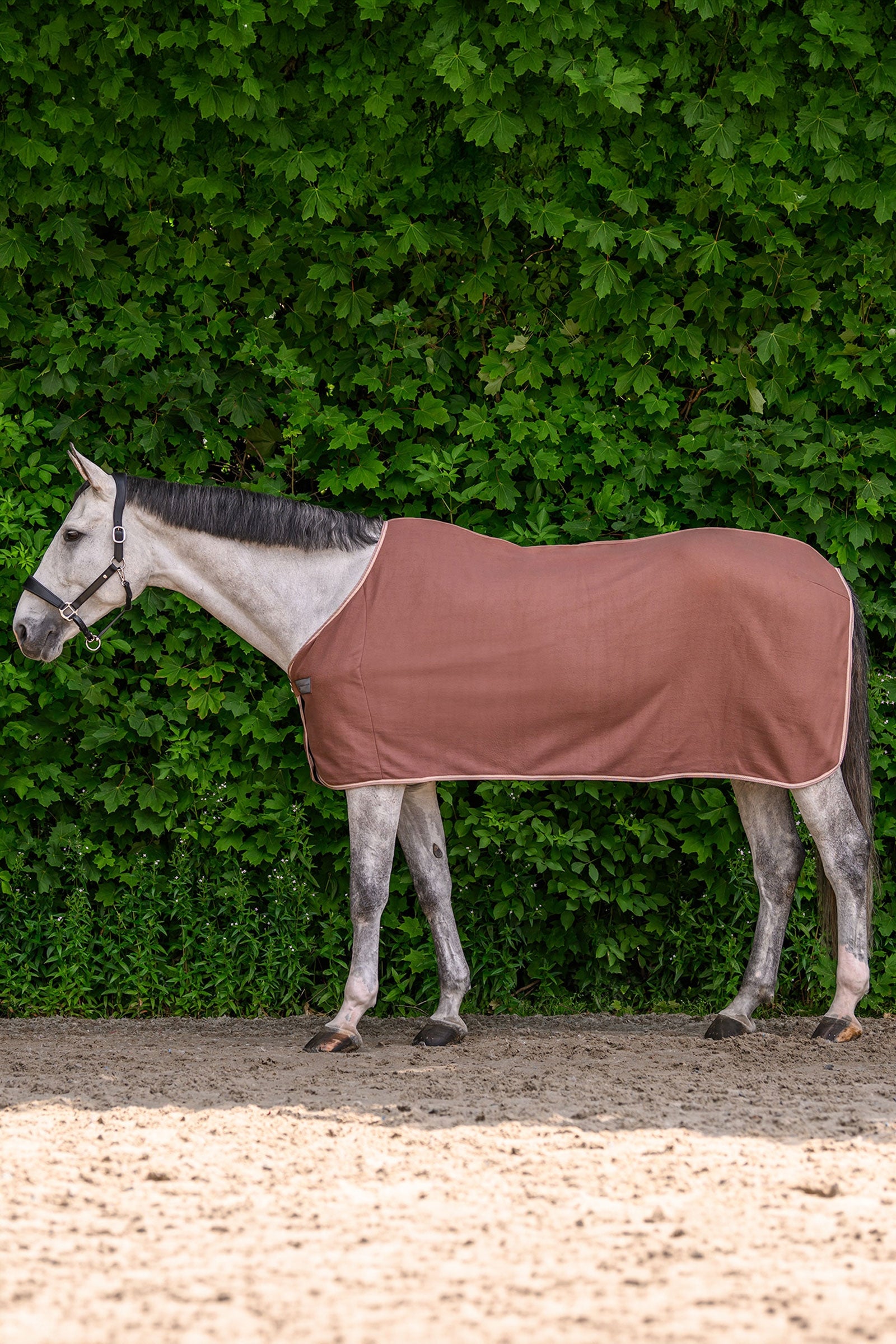 Waldhausen ECONOMIC couverture polaire Couvertures cheval